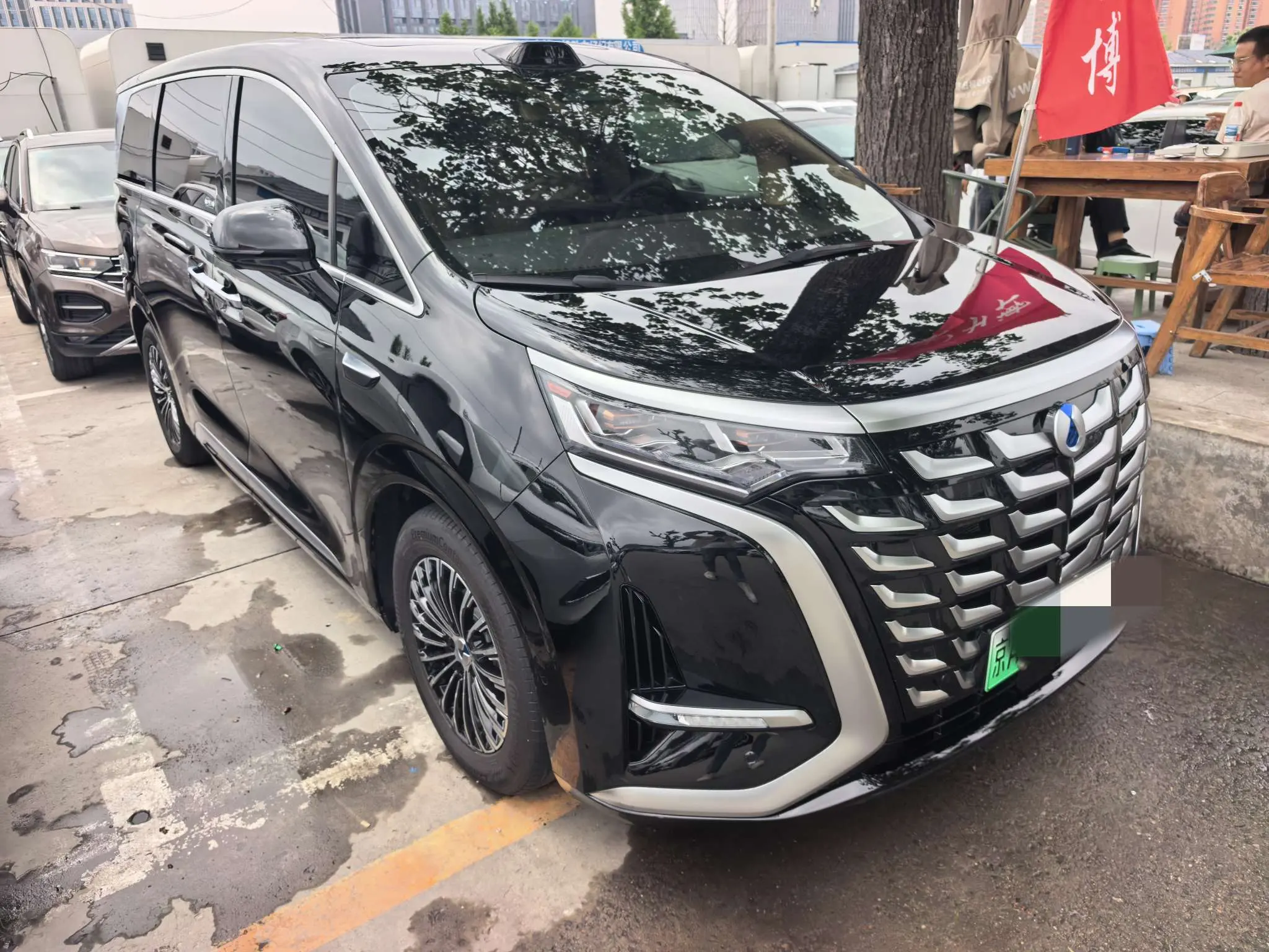 Denza D9 DM