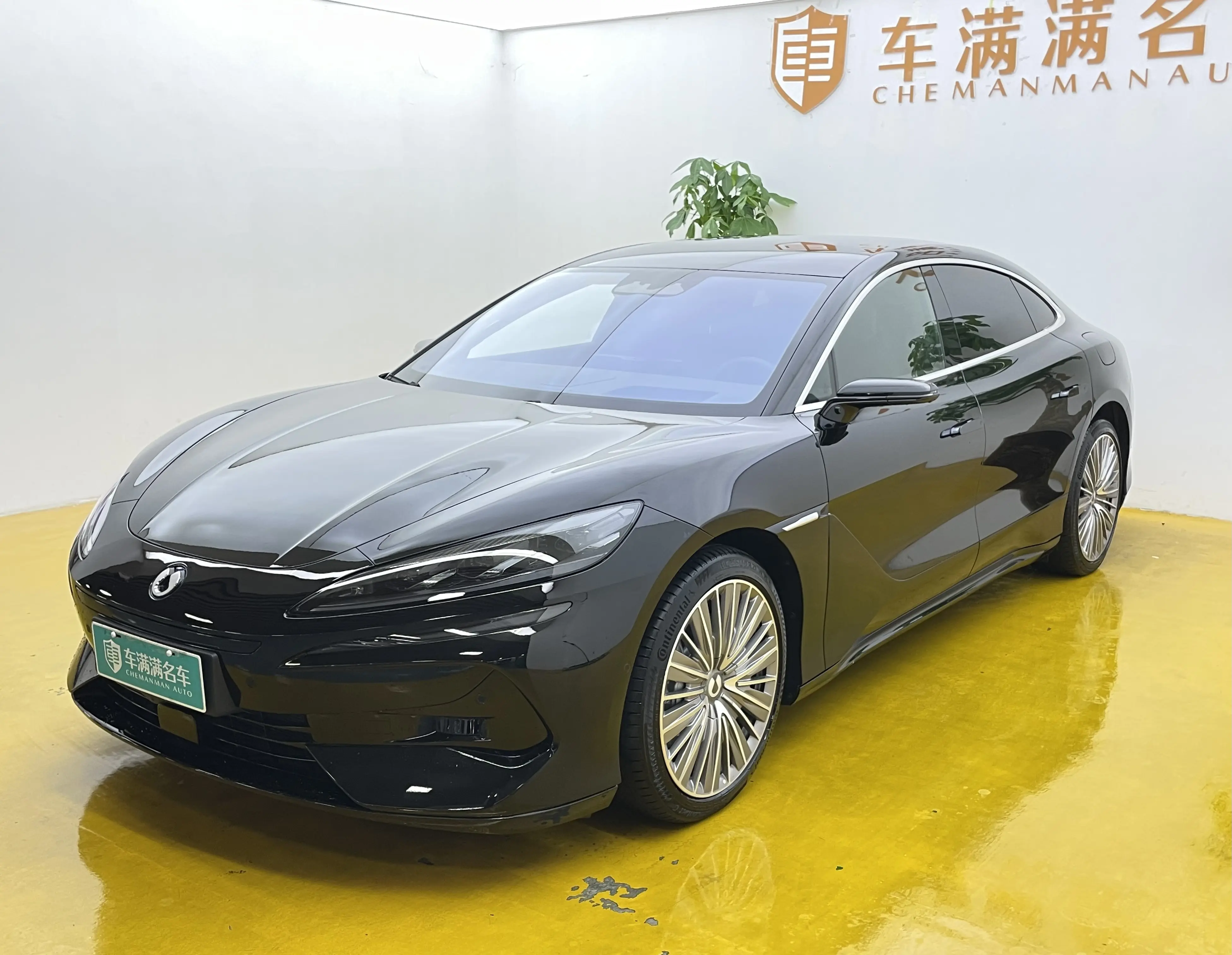 Denza Tengzhong Z9 DM