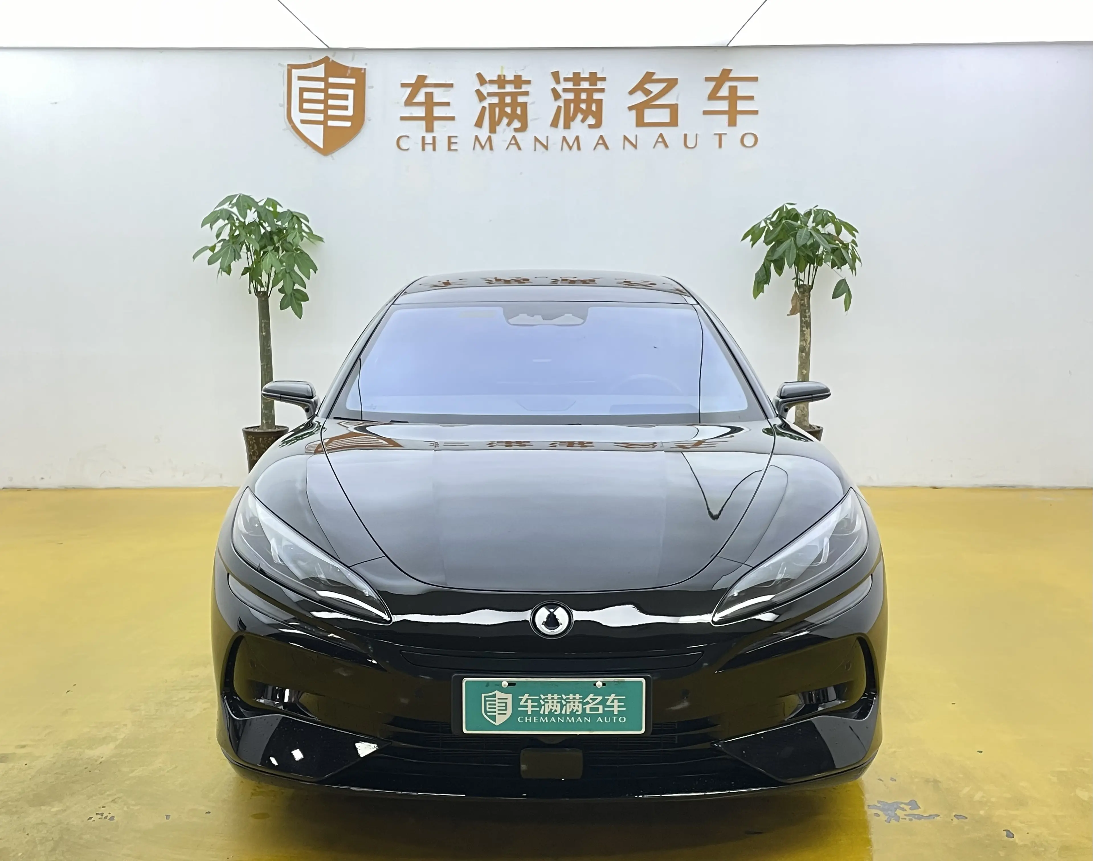 Denza Tengzhong Z9 DM