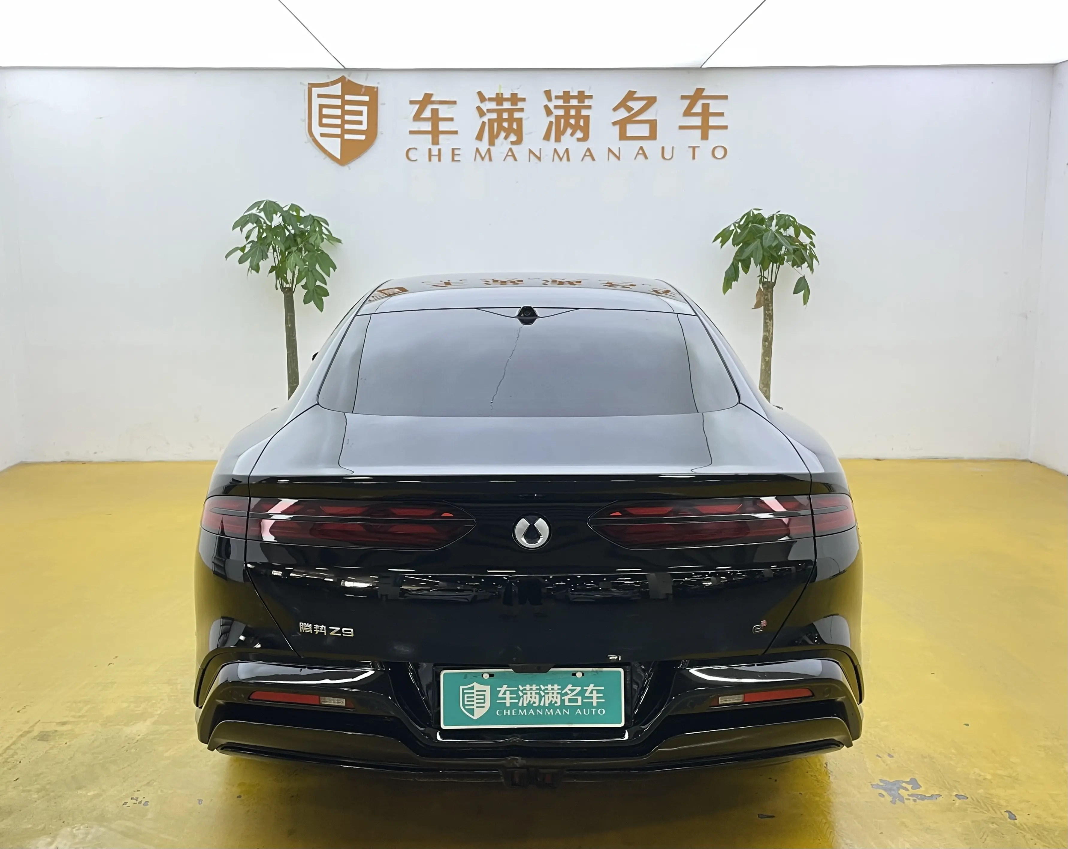 Denza Tengzhong Z9 DM
