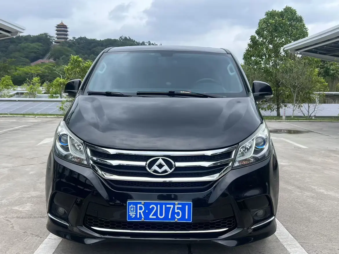 Datong Maxus G10