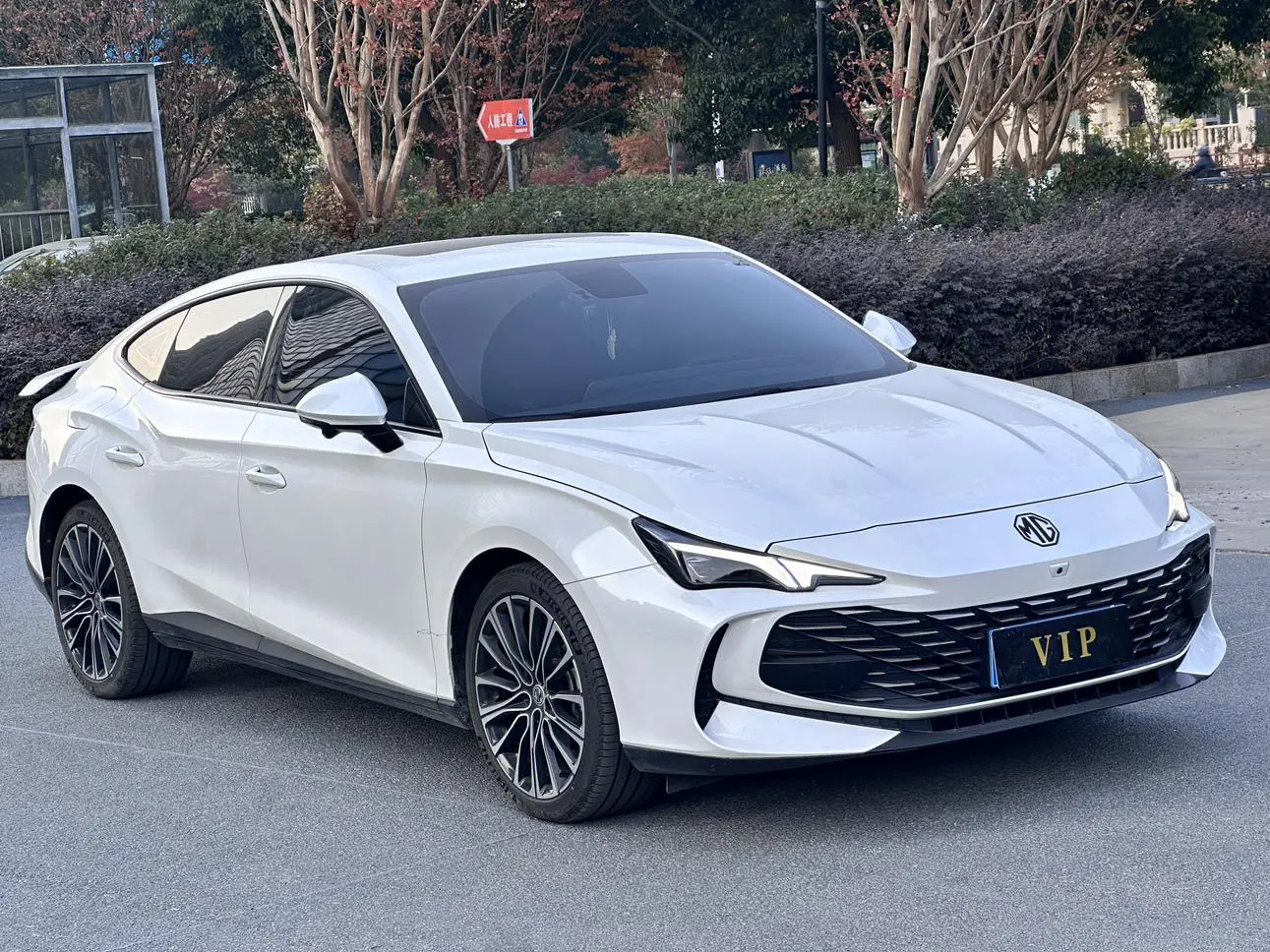 MG 7