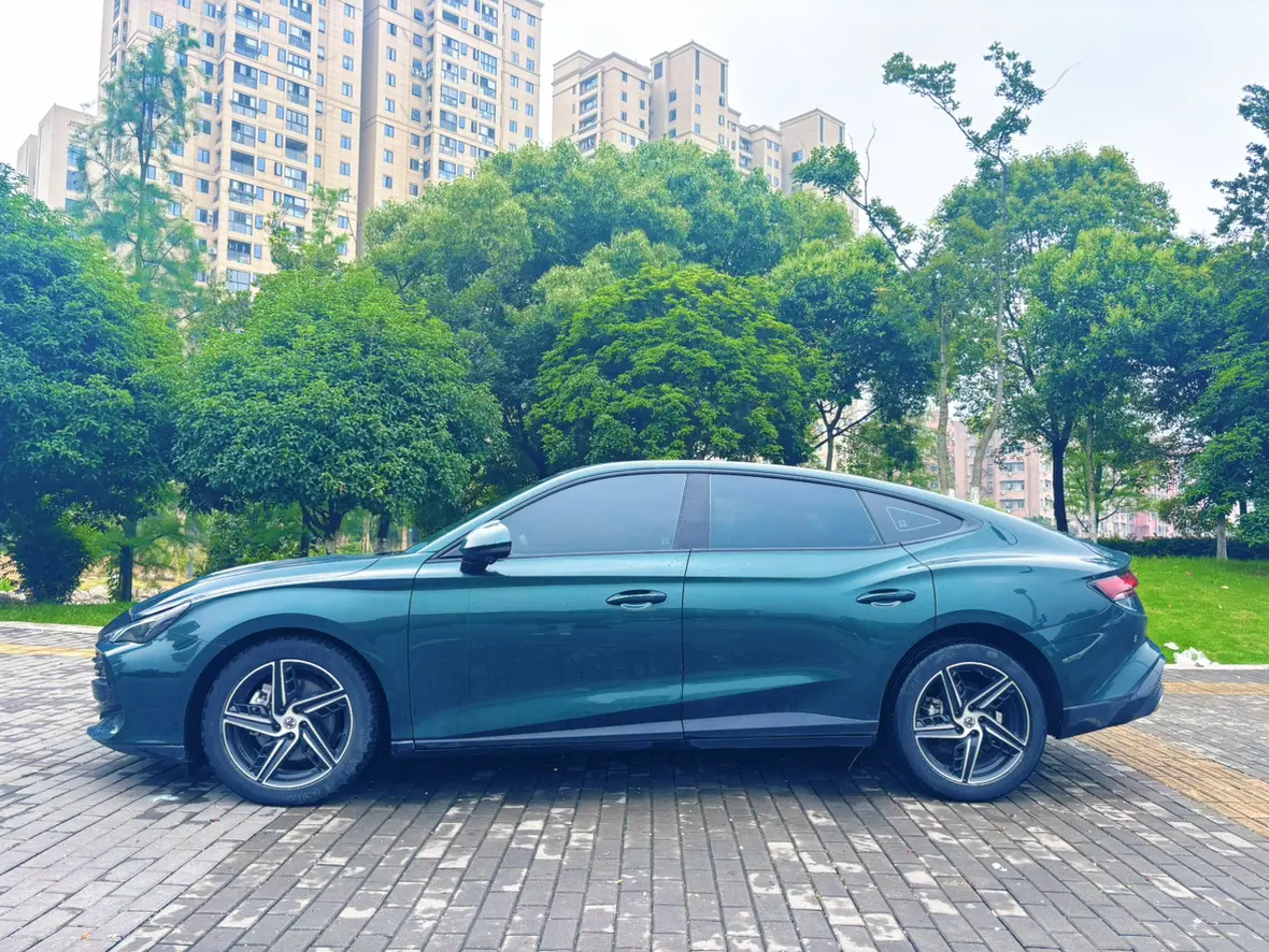 MG 7