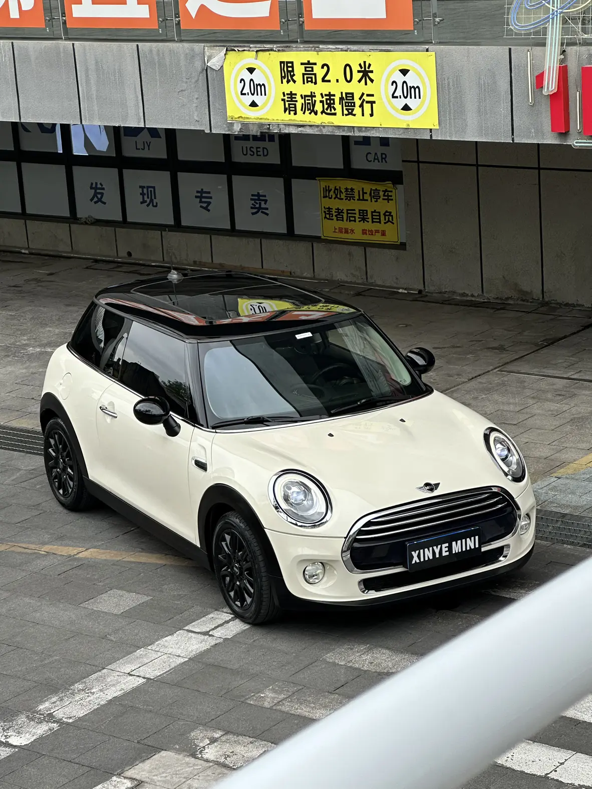 MINI 