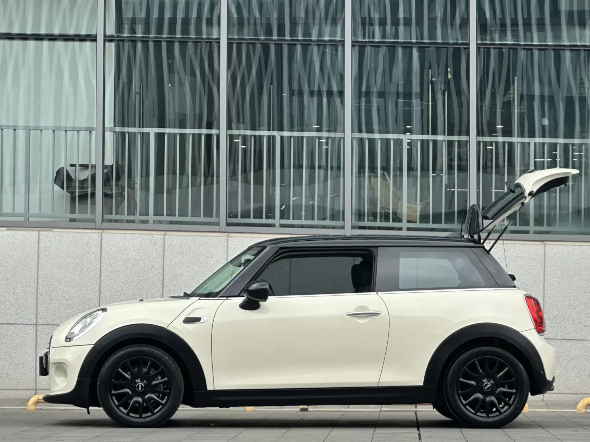 MINI 