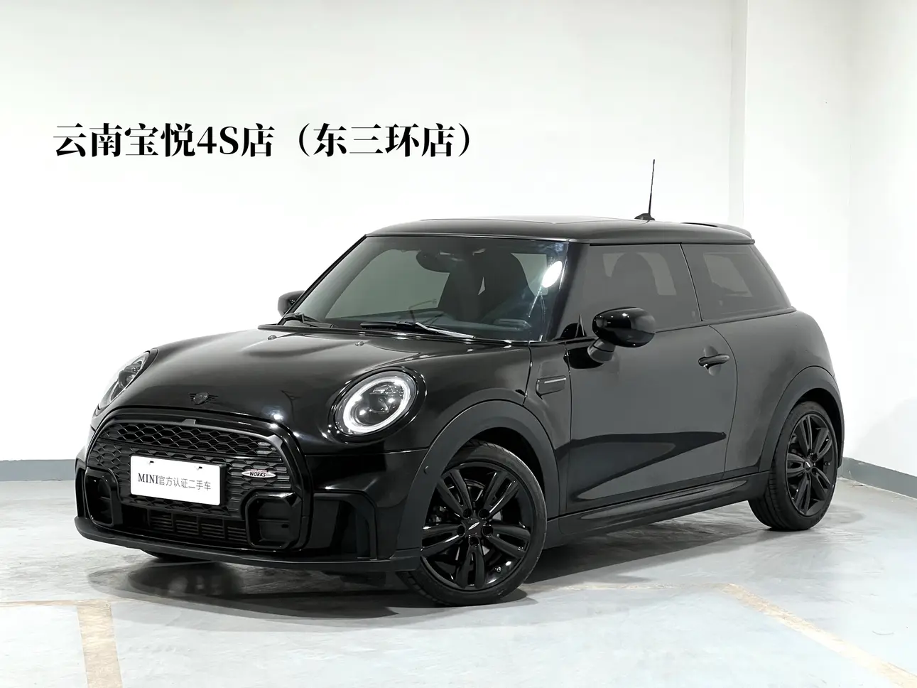 MINI 