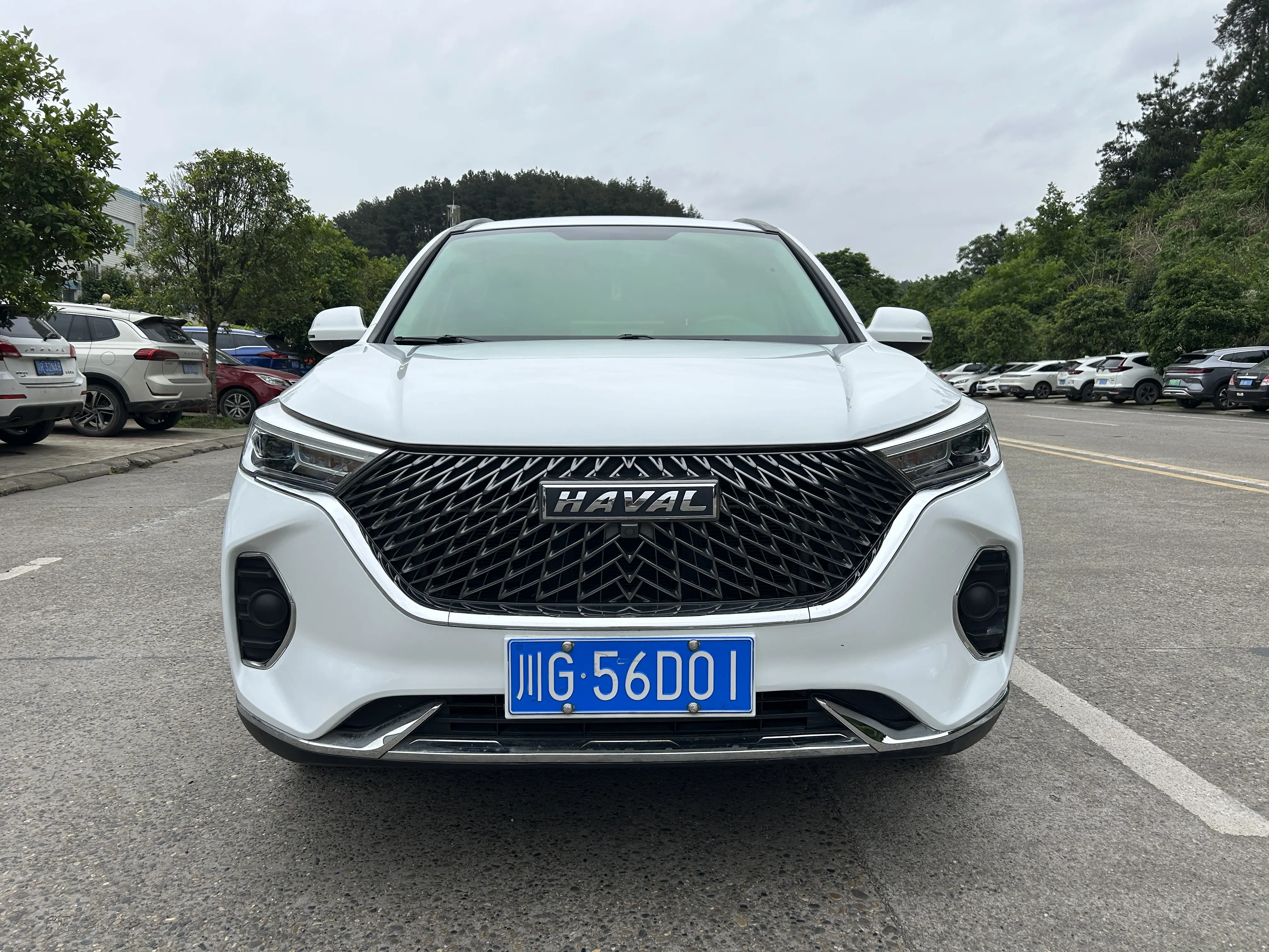 Haval M6