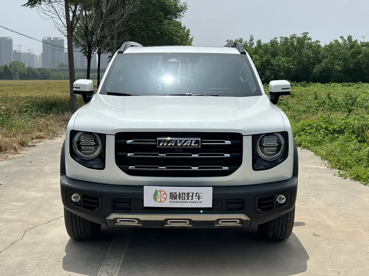 Haval Dargo