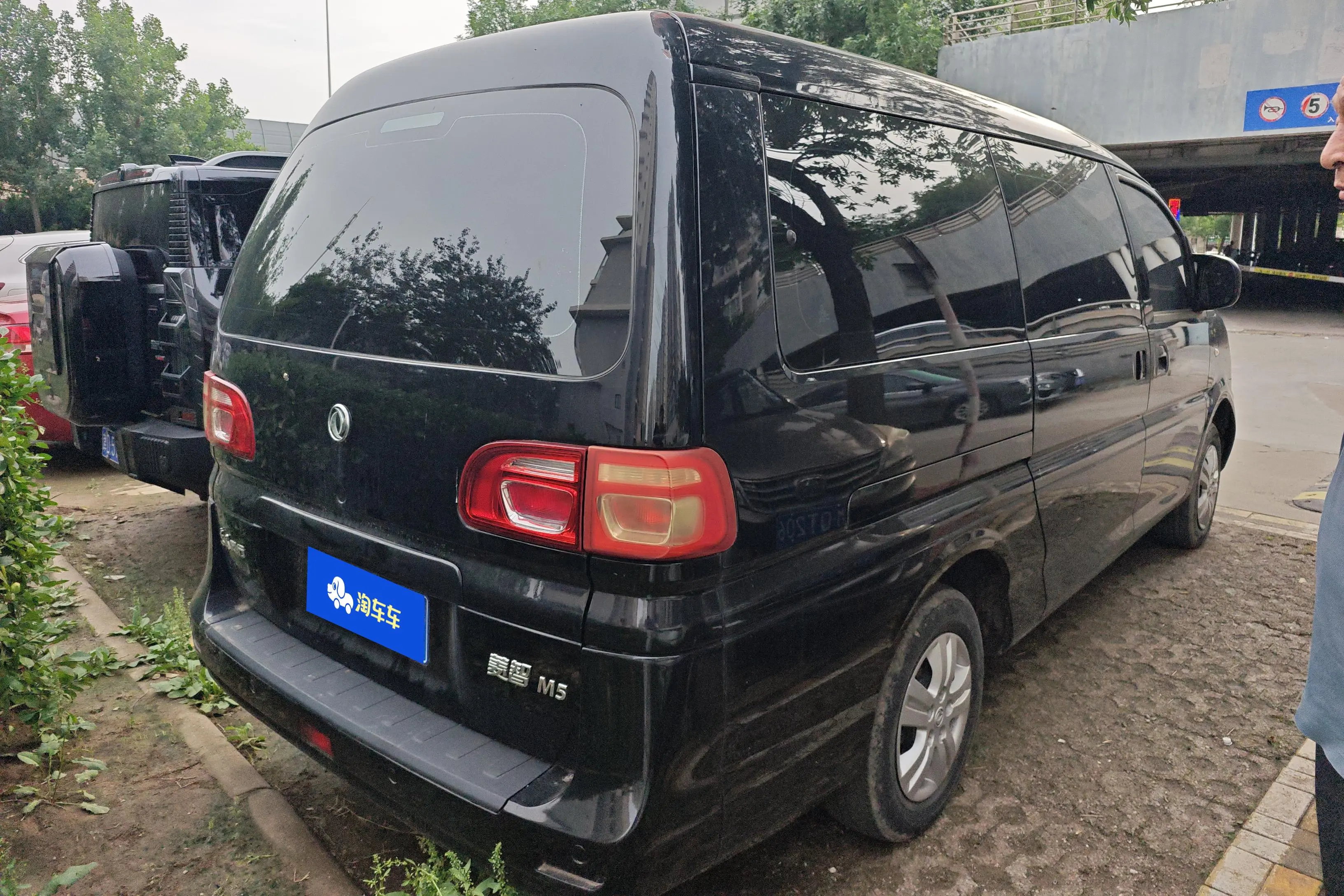 Forthing Lingzhi