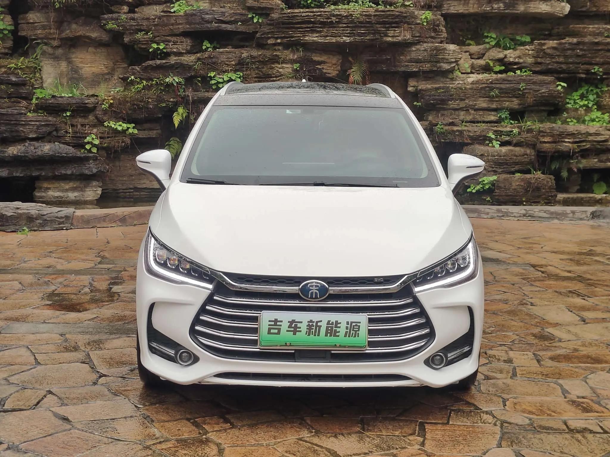 BYD Song MAX DM