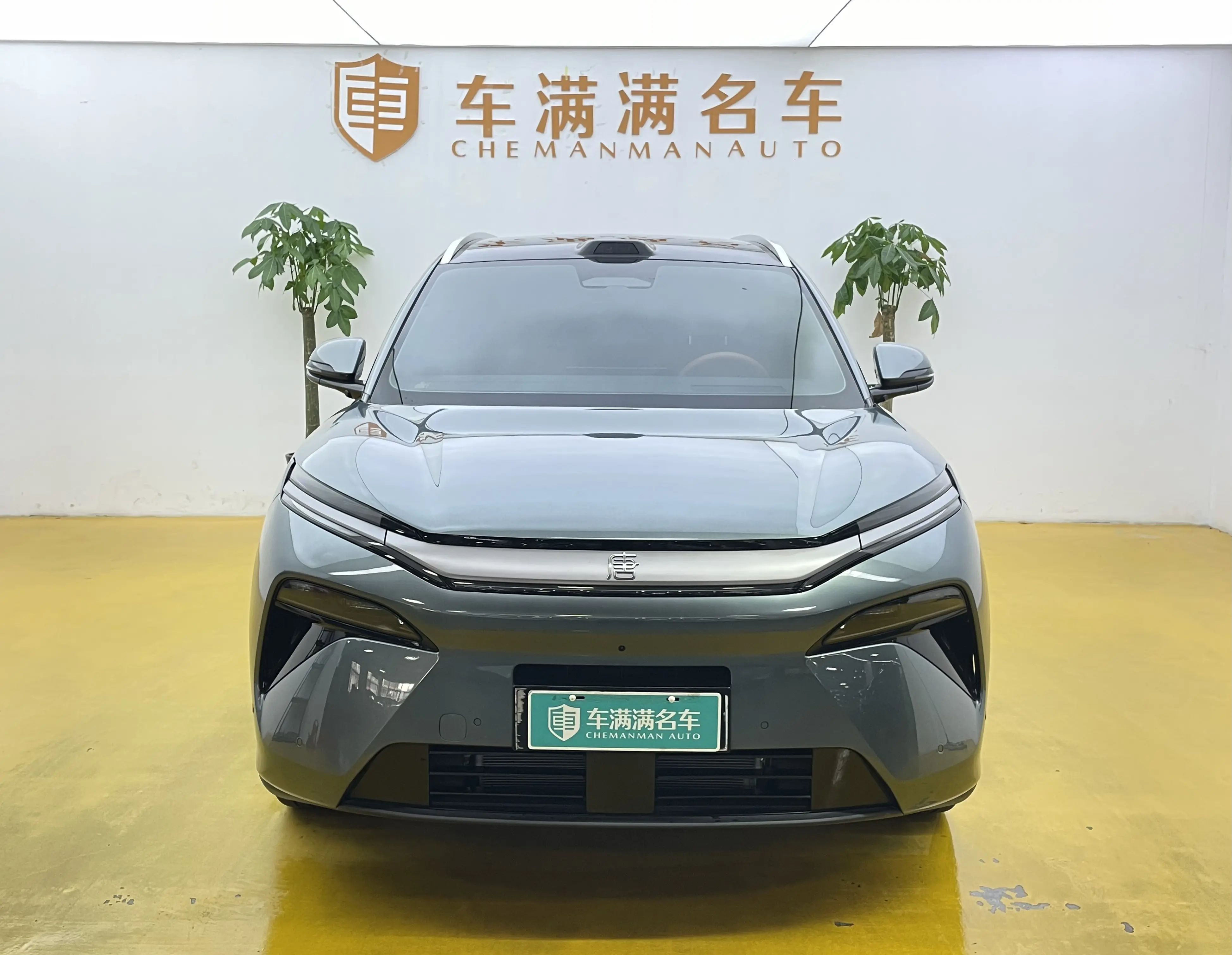 BYD Tang L DM