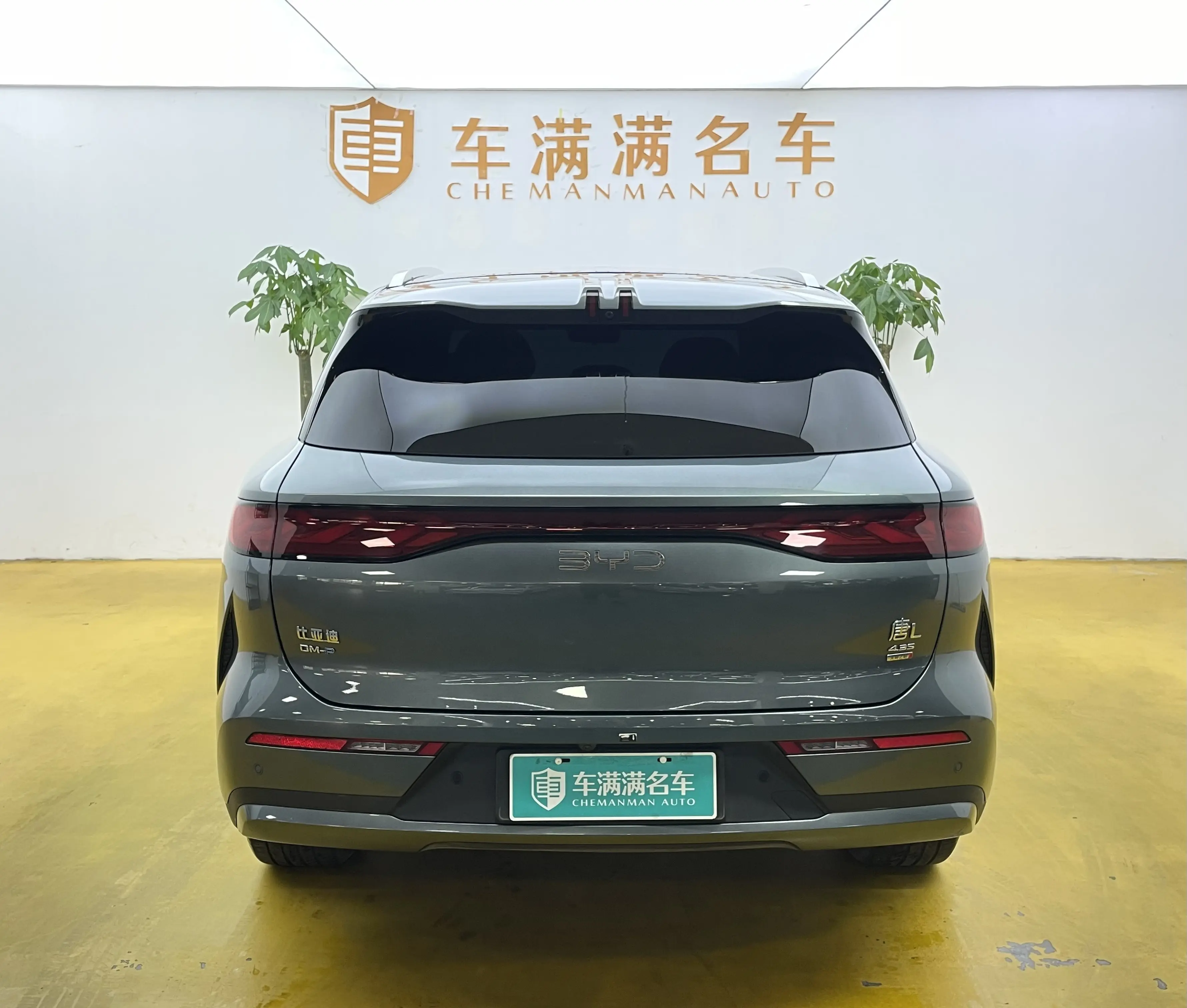 BYD Tang L DM