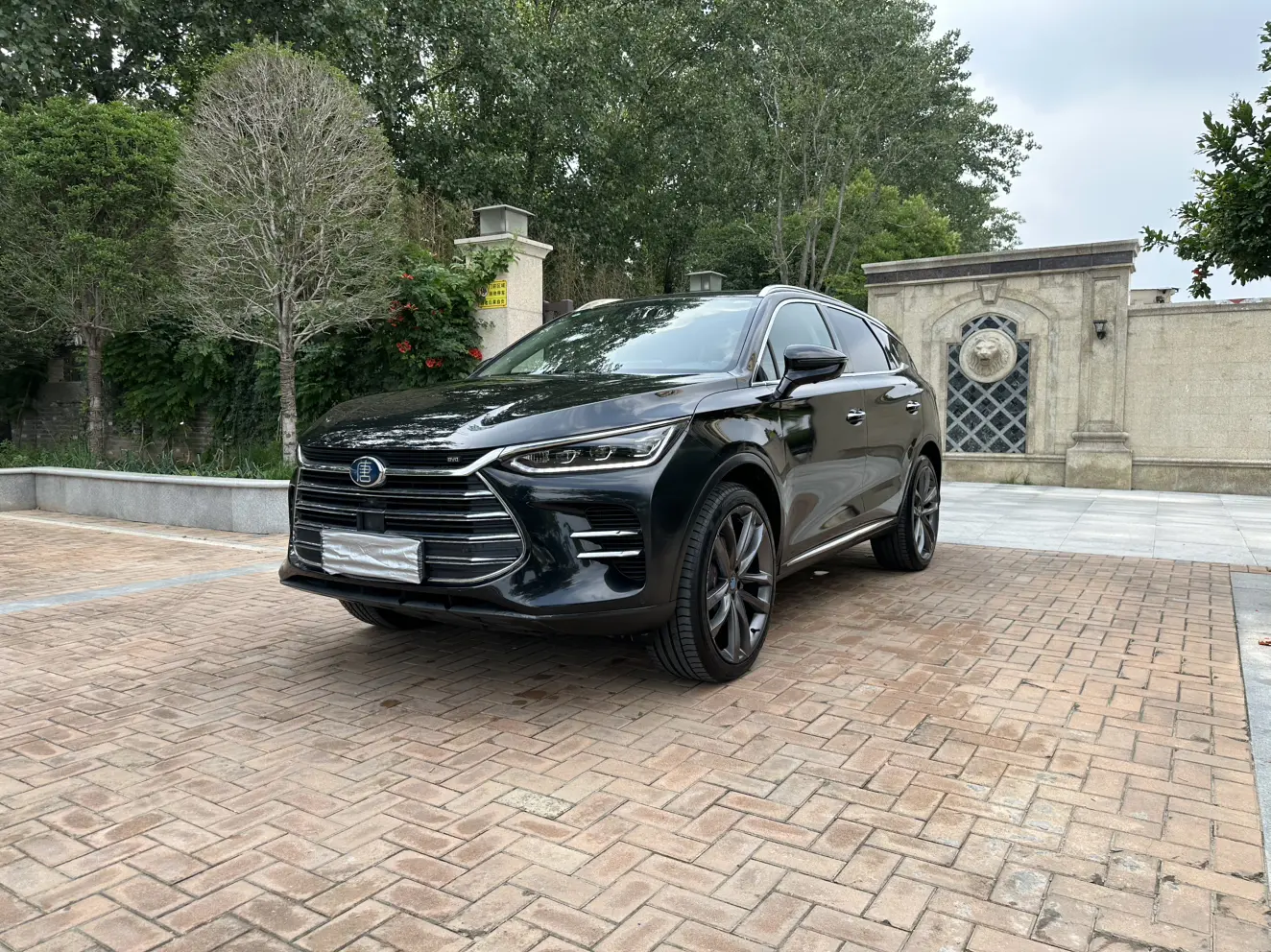 BYD Tang DM