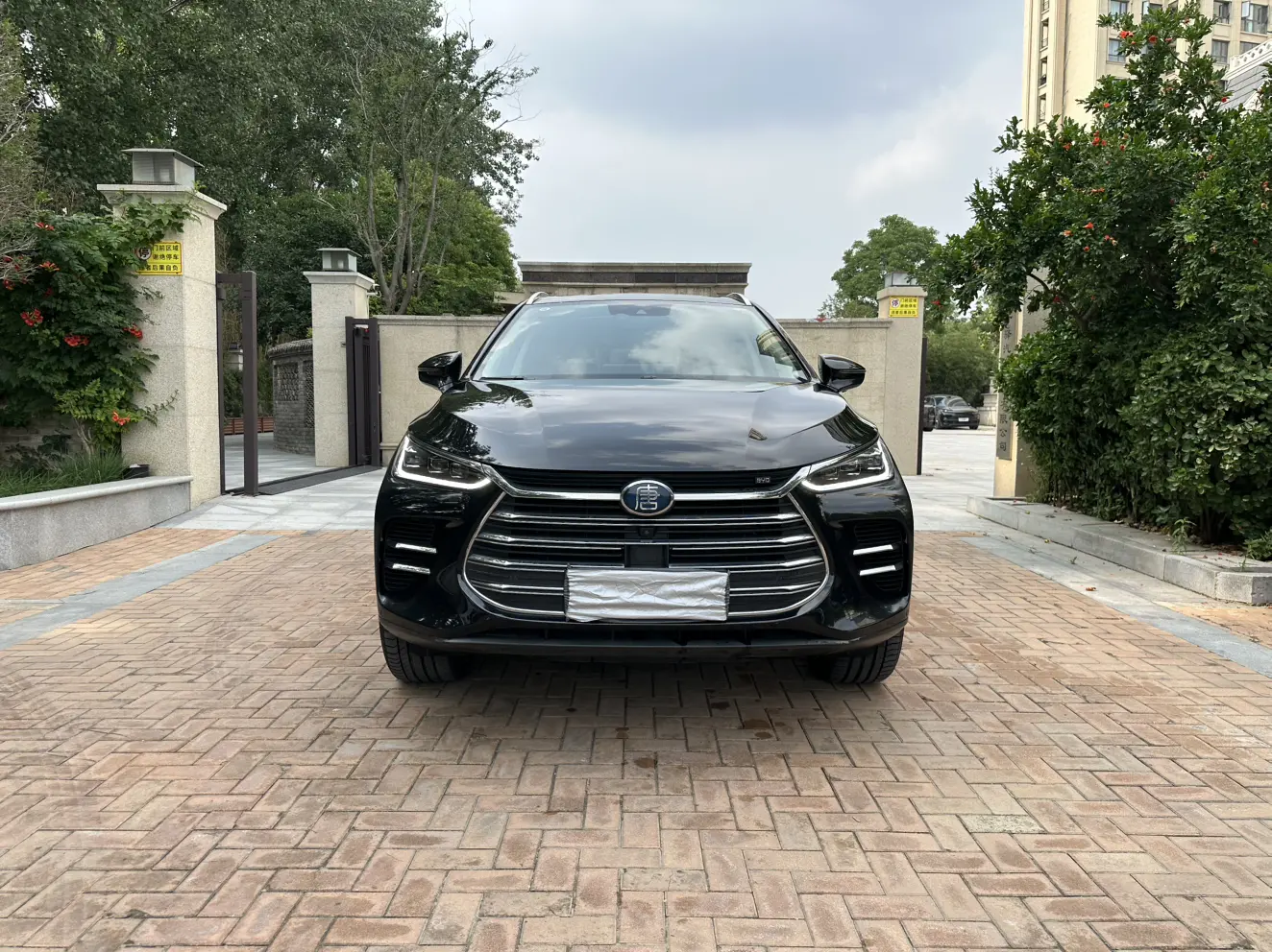 BYD Tang DM