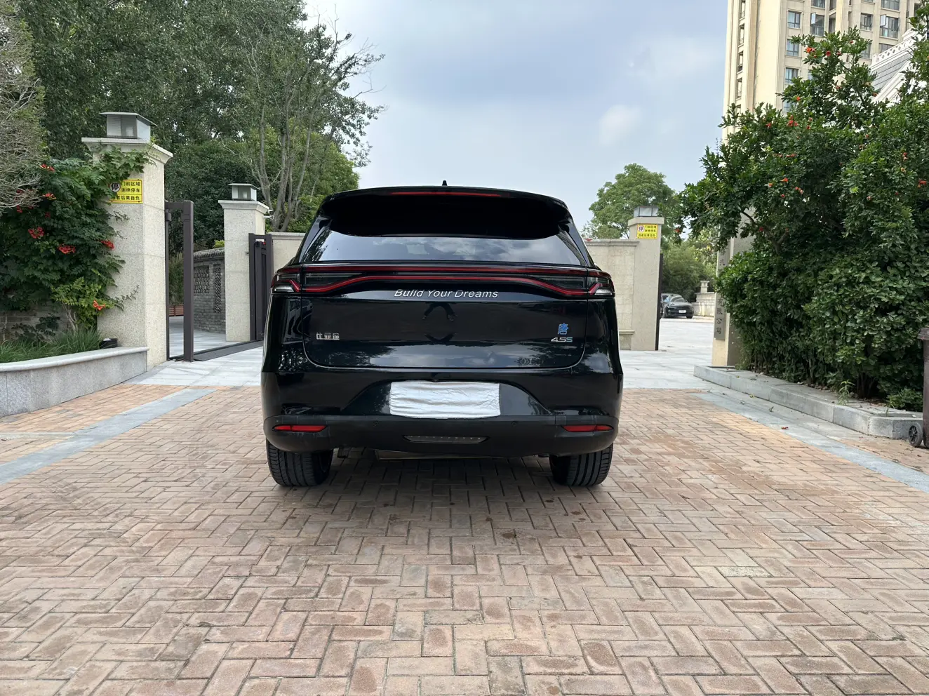 BYD Tang DM