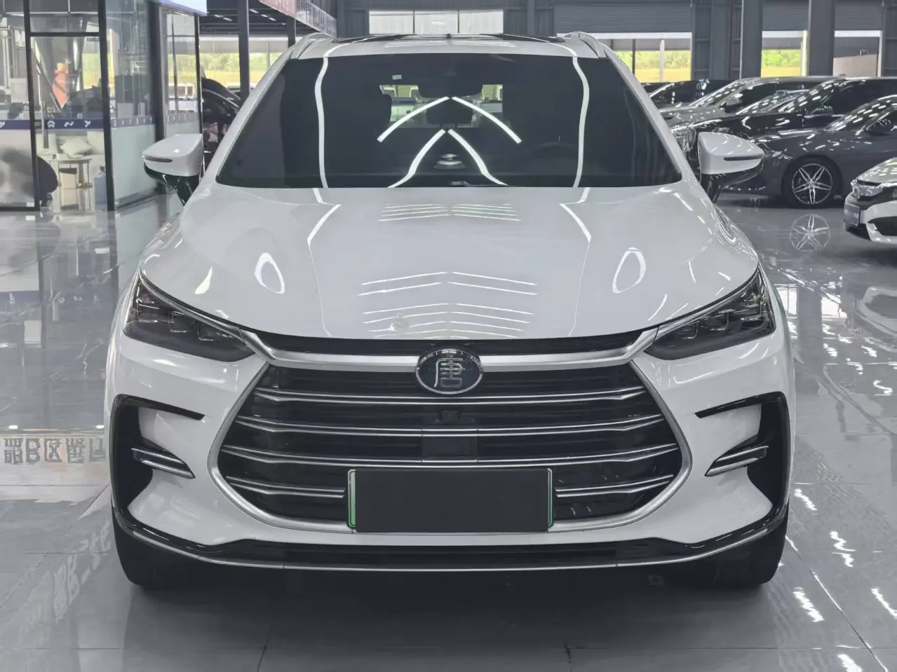BYD Tang DM