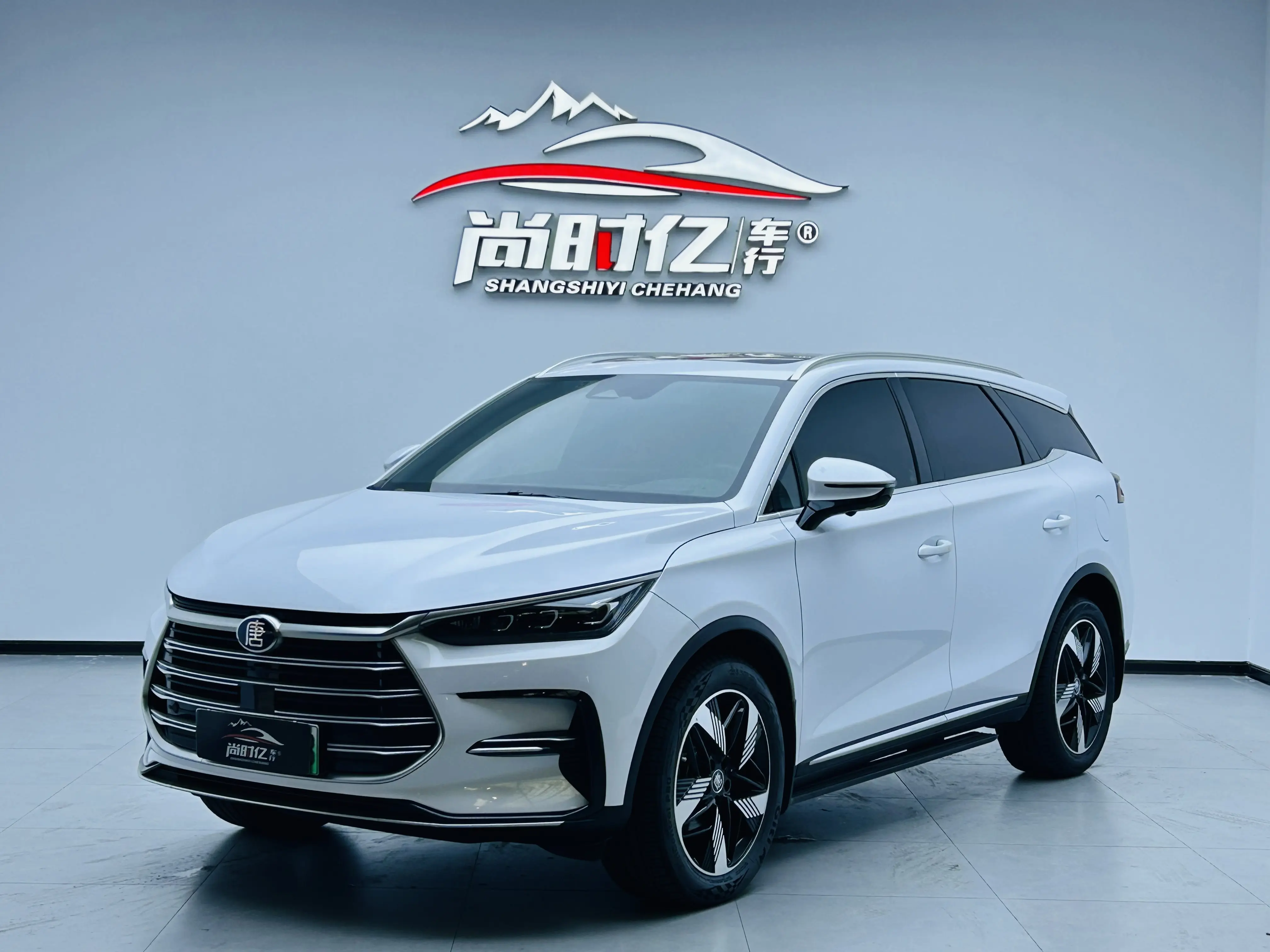 BYD Tang DM