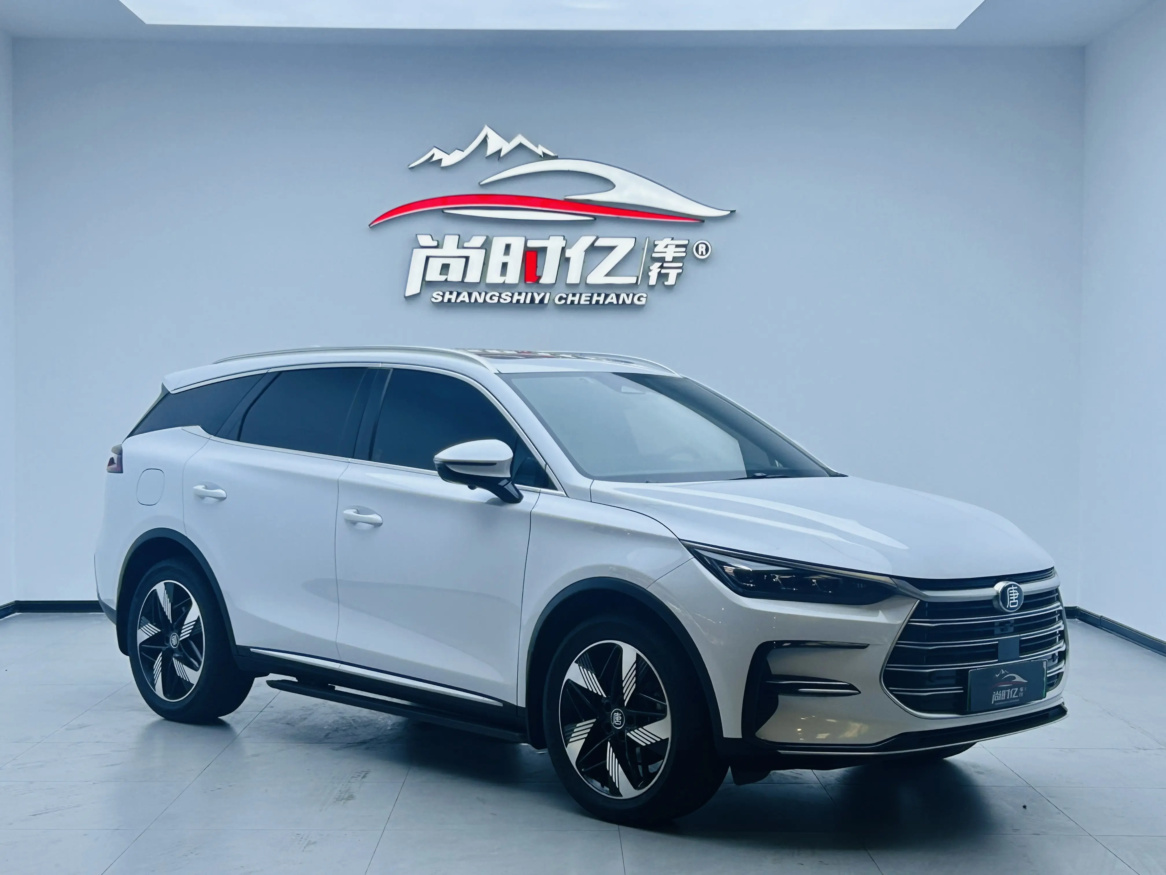 BYD Tang DM