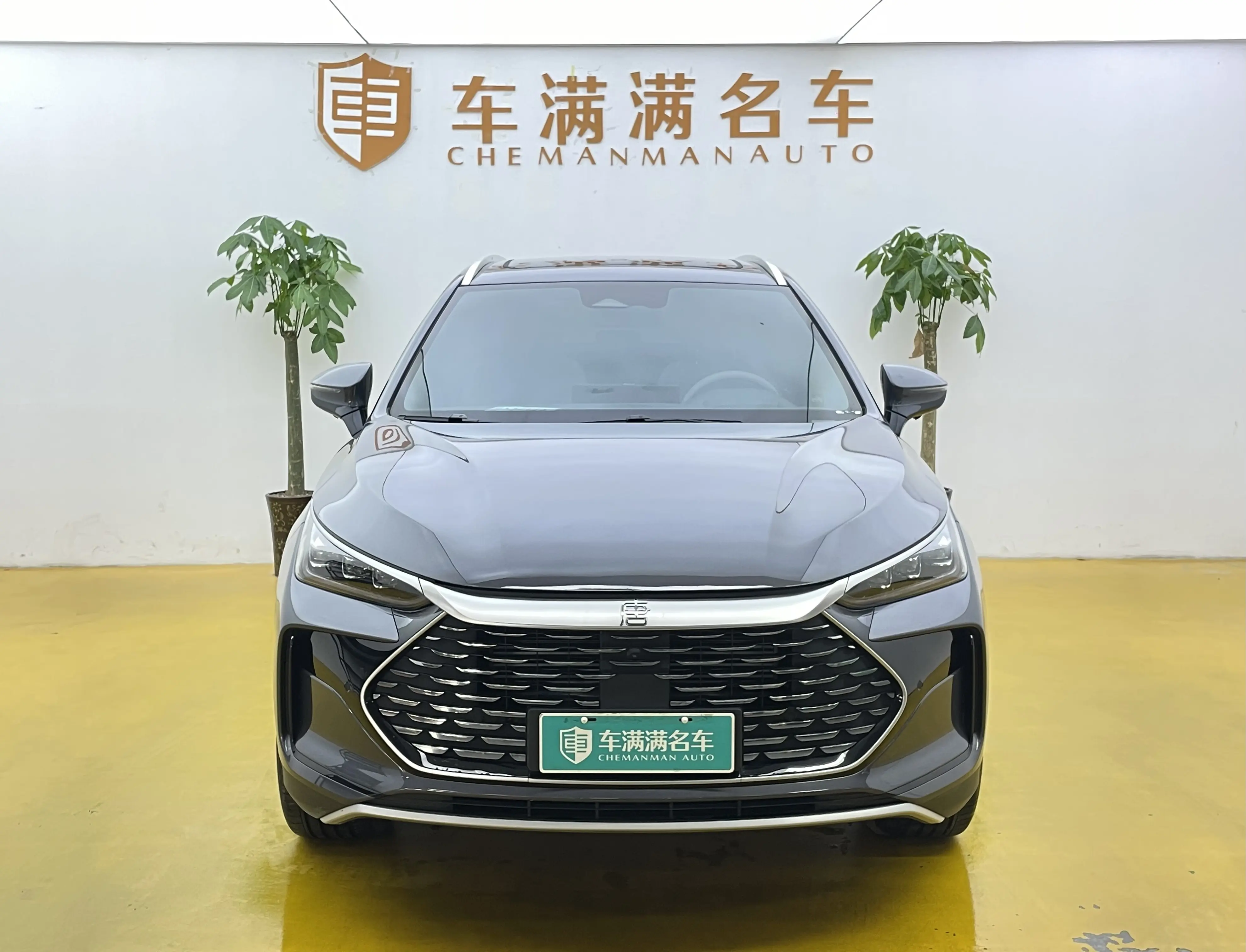 BYD Tang DM