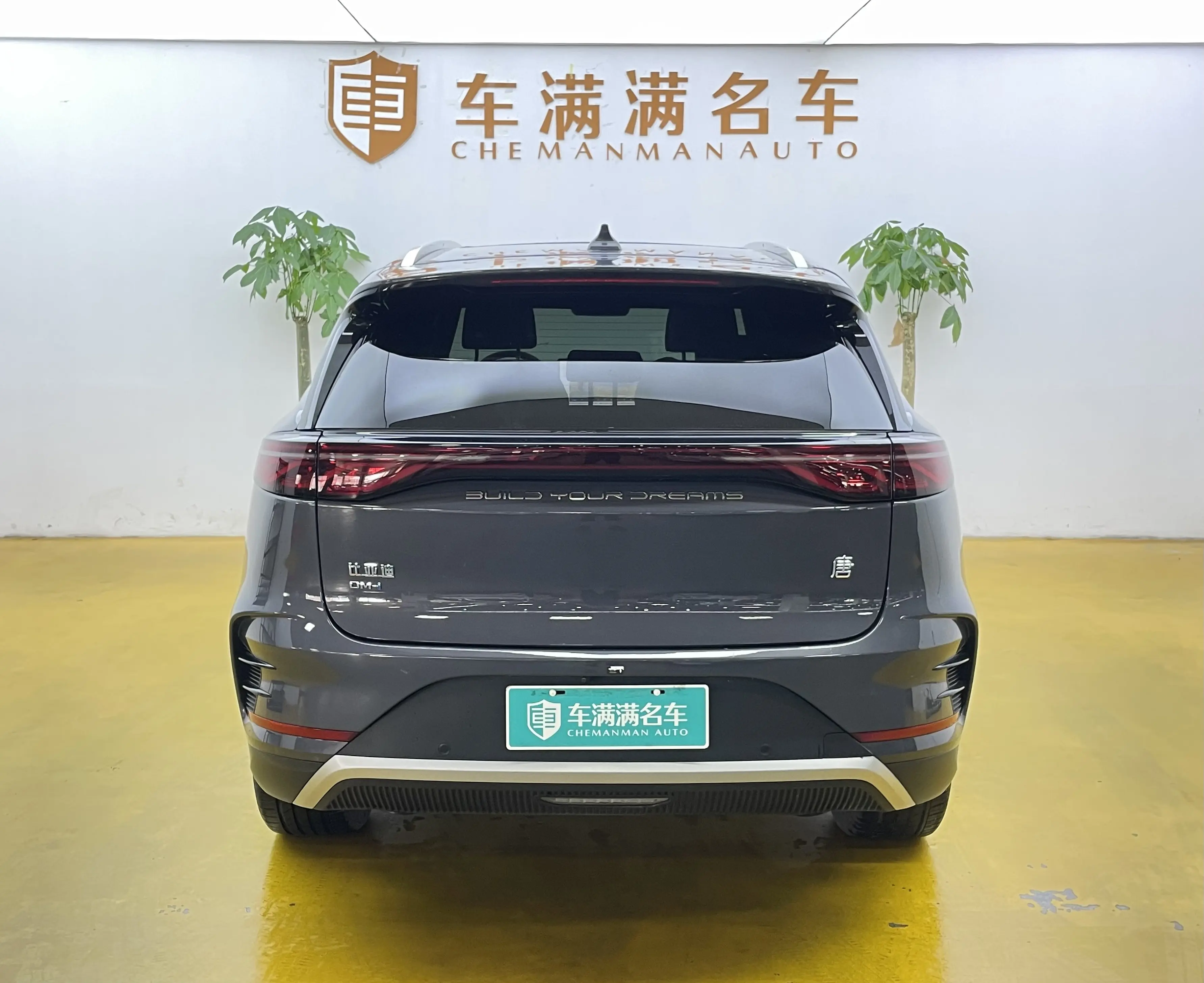 BYD Tang DM