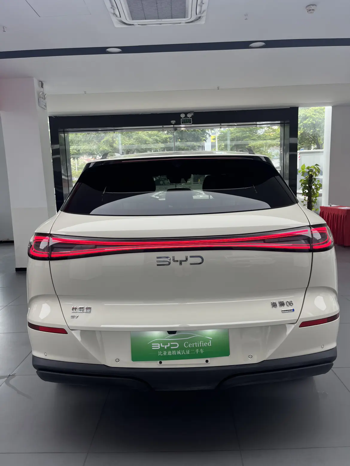 BYD Sea Lion 06EV