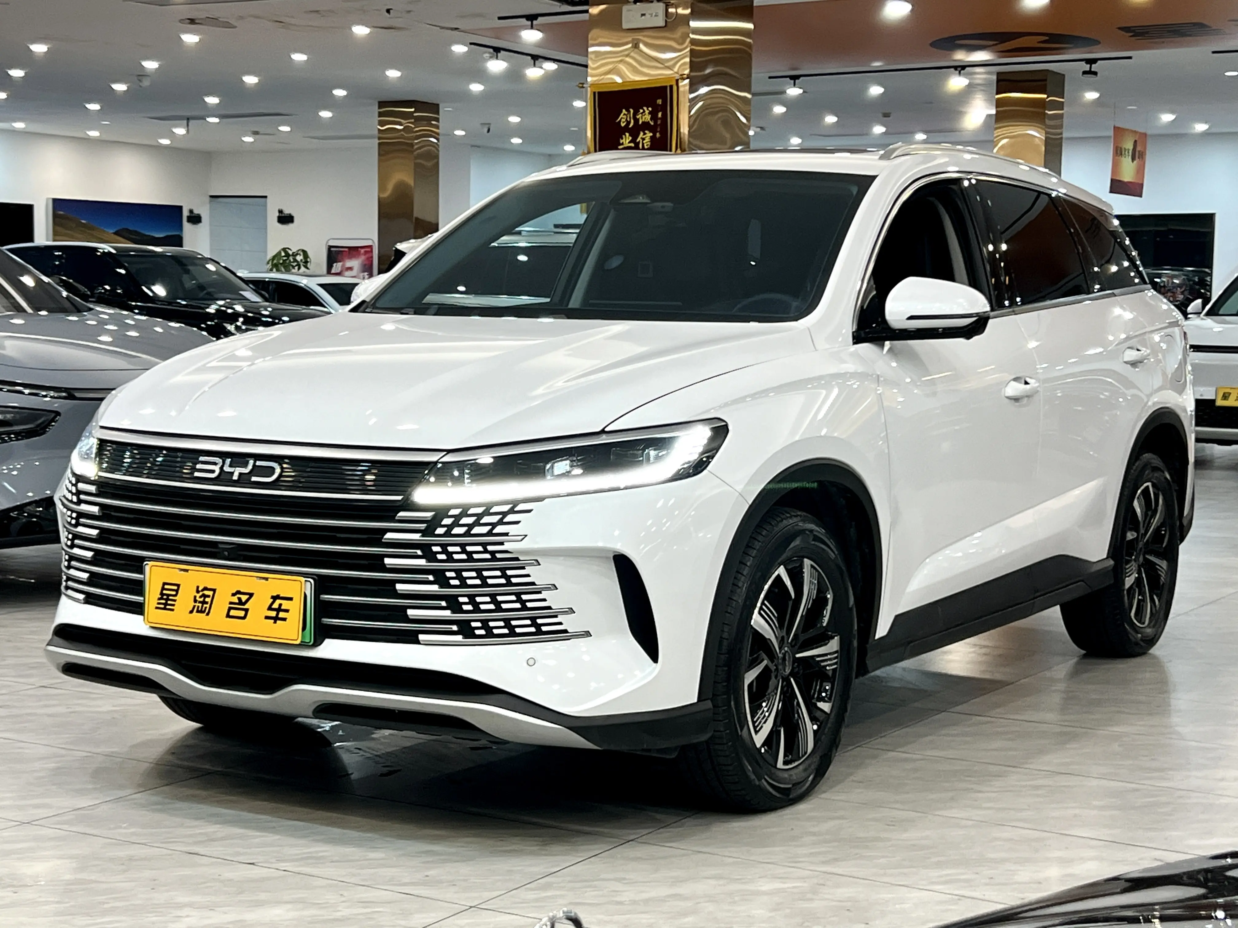 BYD Sea Lion 05DM