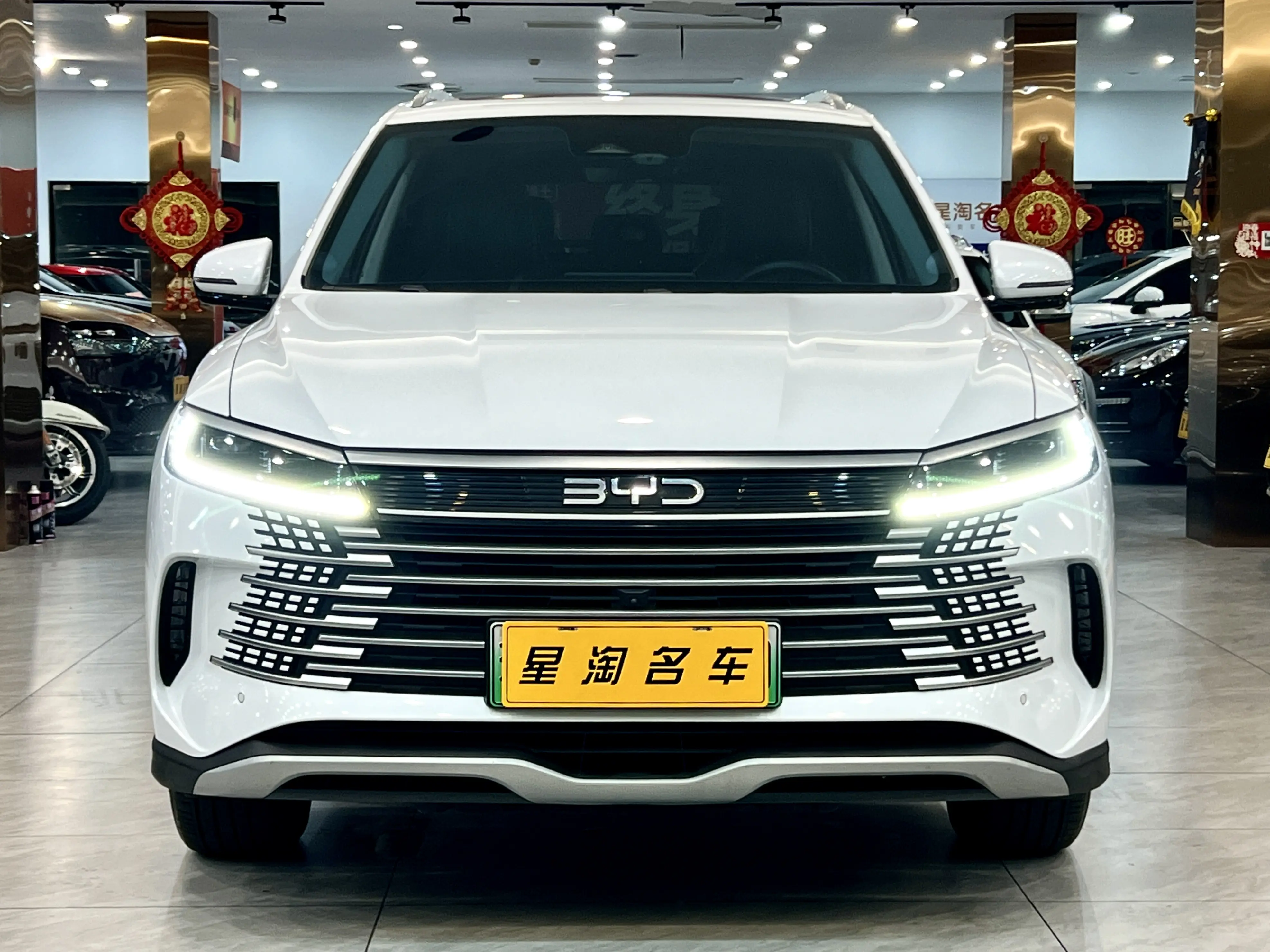 BYD Sea Lion 05DM