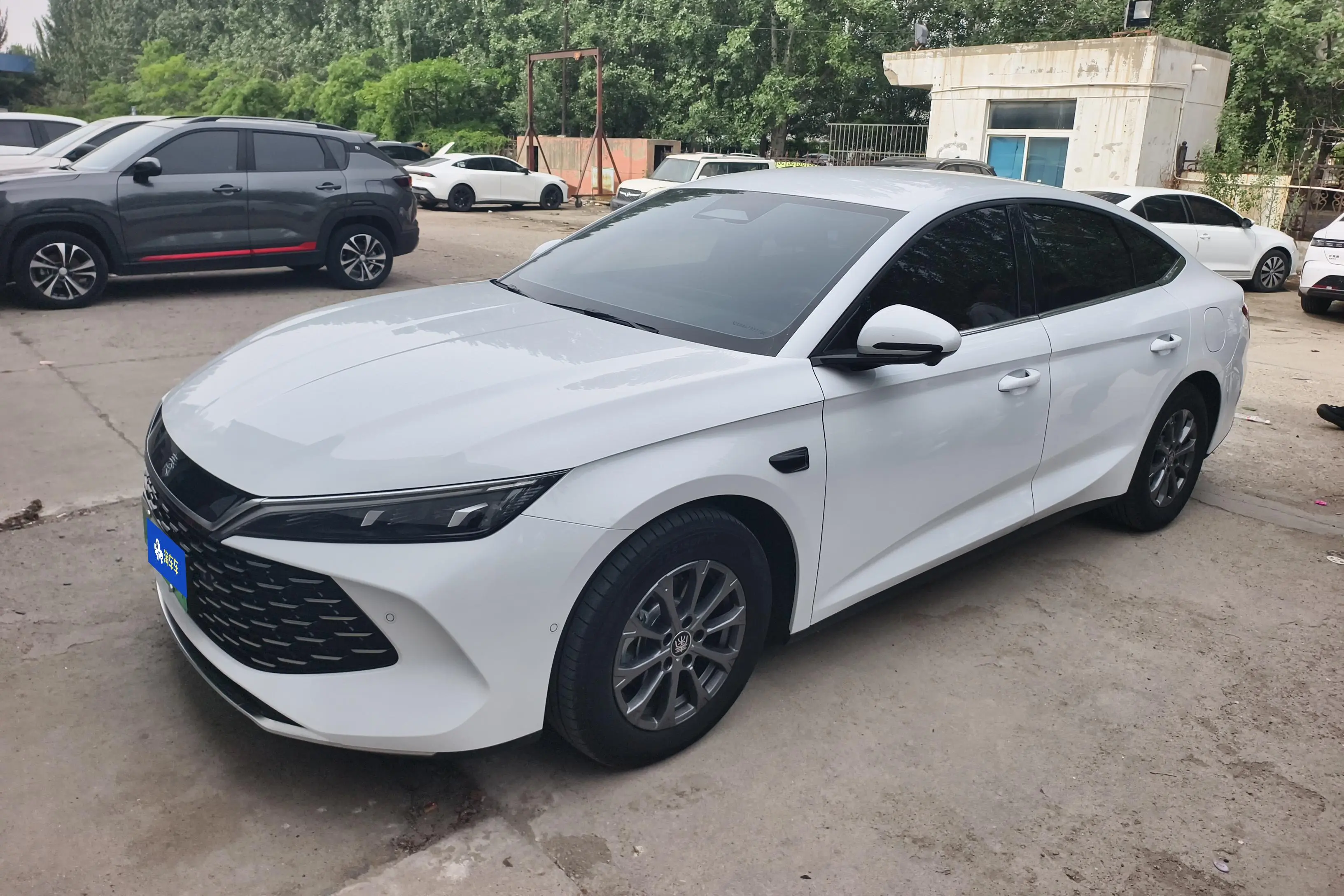 BYD Qin L DM