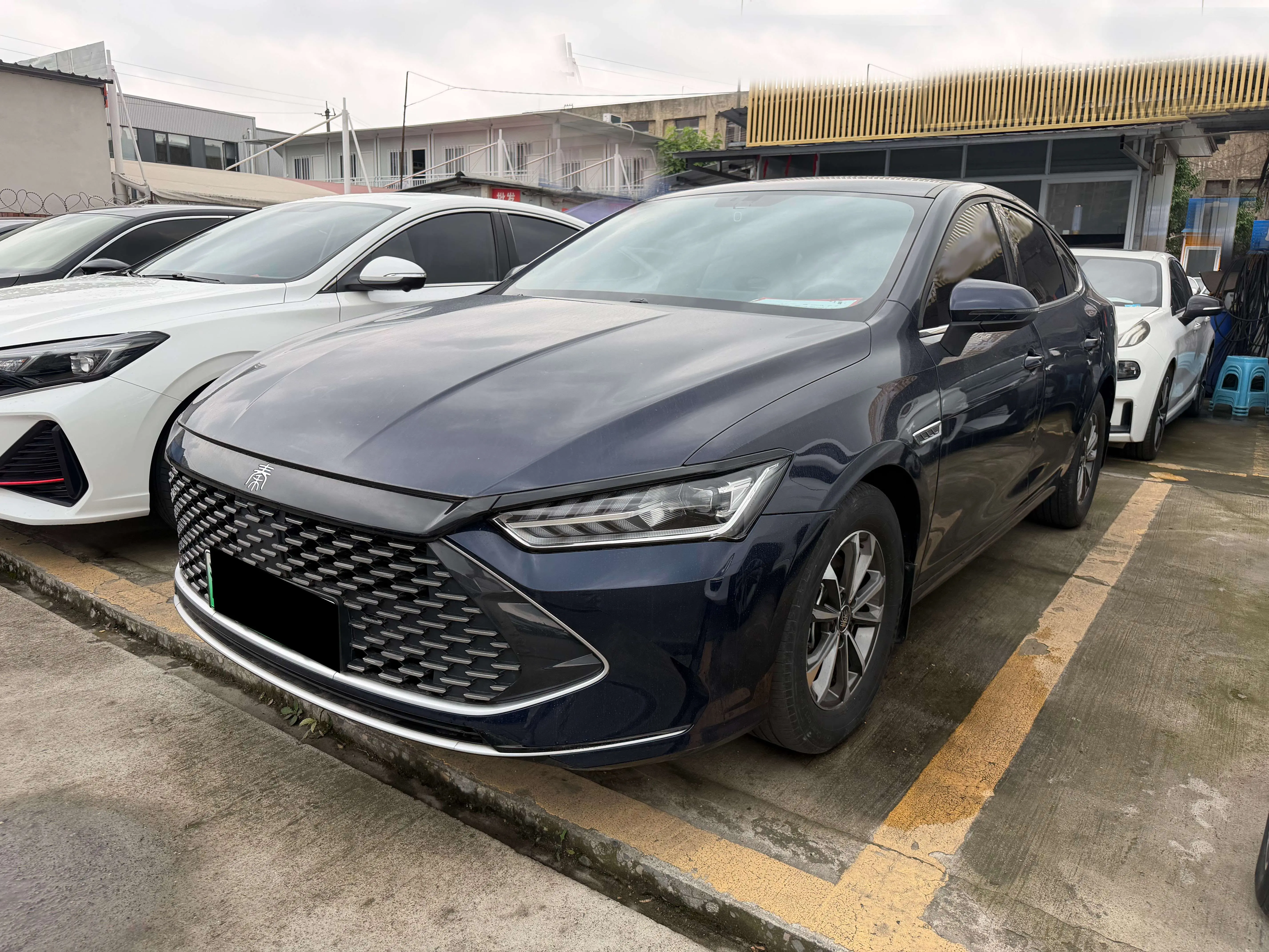 BYD Qin PLUS DM