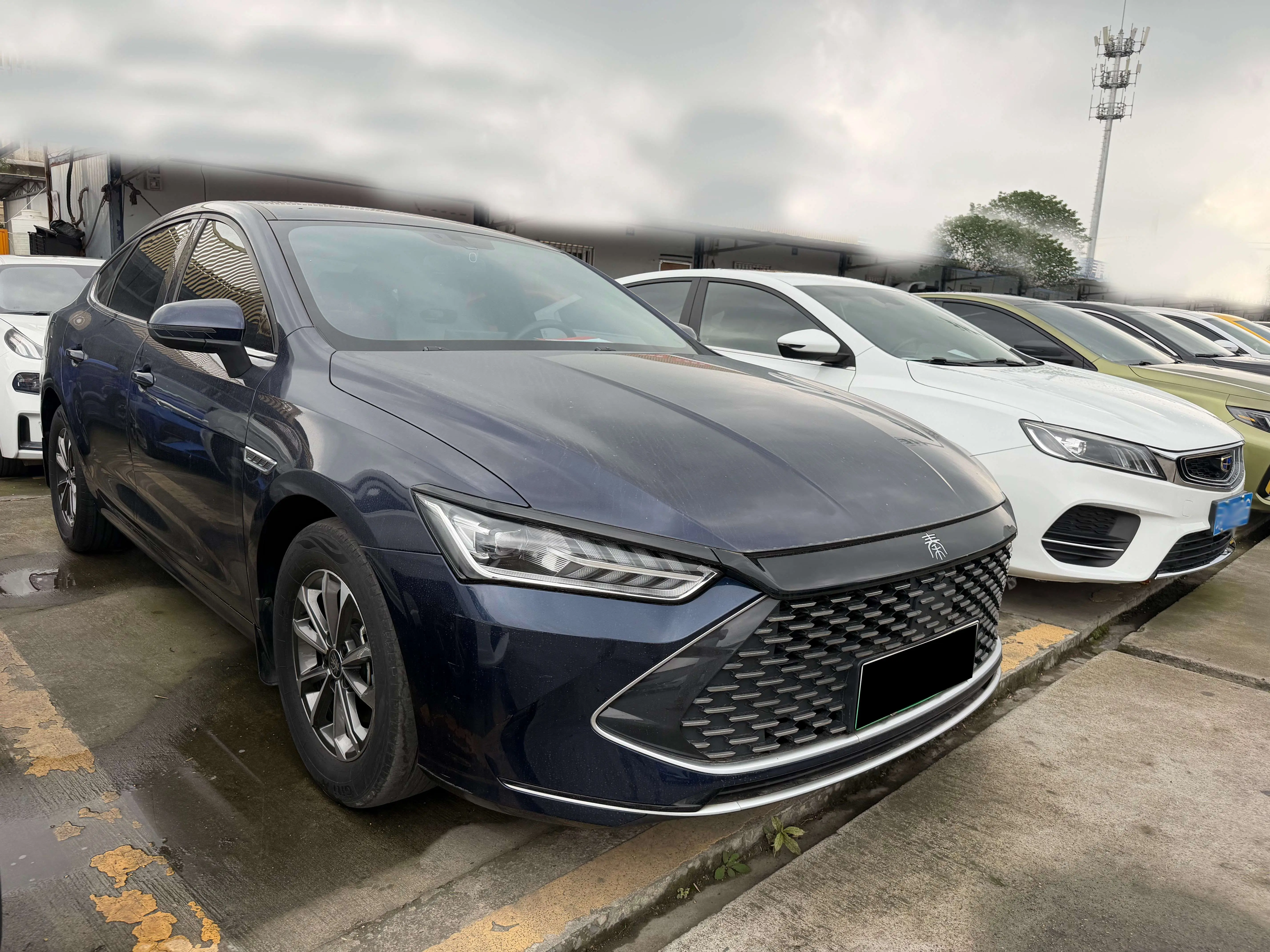 BYD Qin PLUS DM