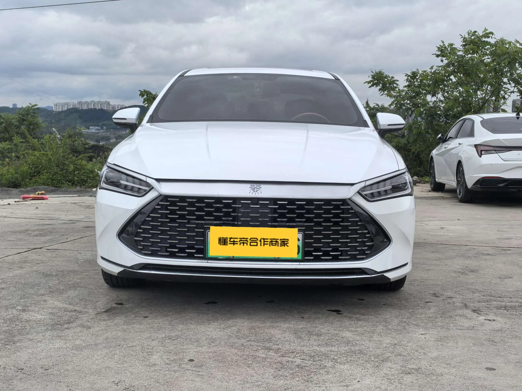 BYD Qin PLUS DM