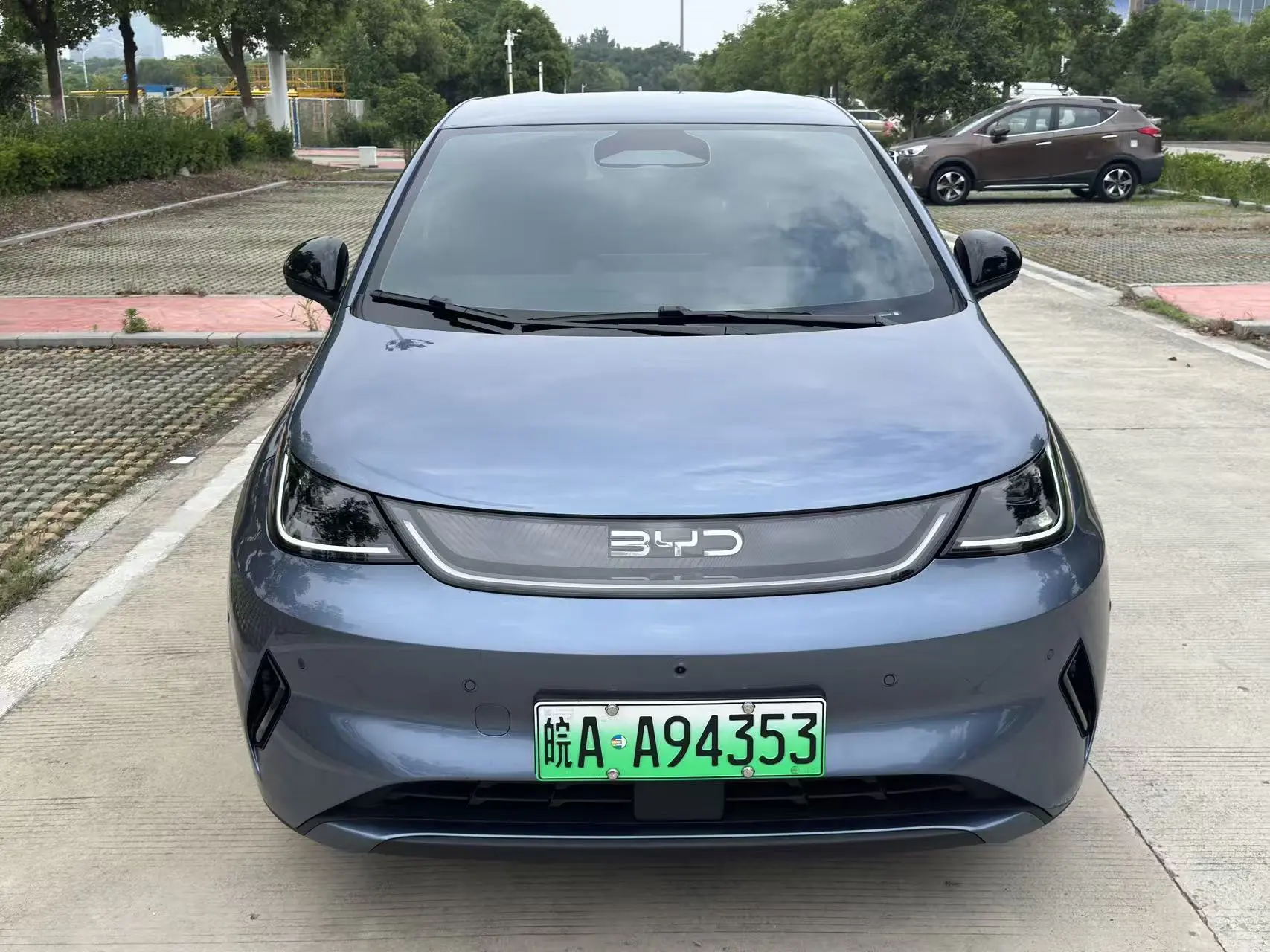 BYD Dolphin