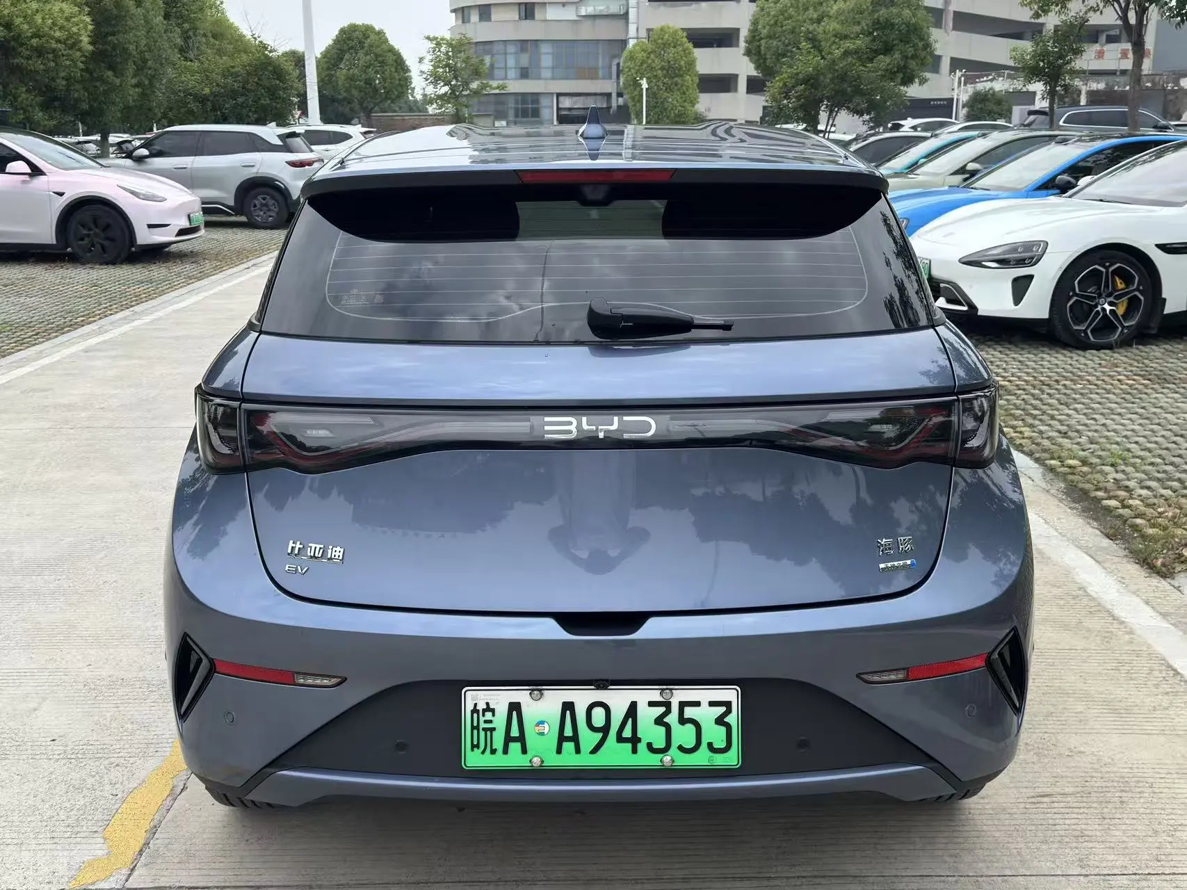 BYD Dolphin