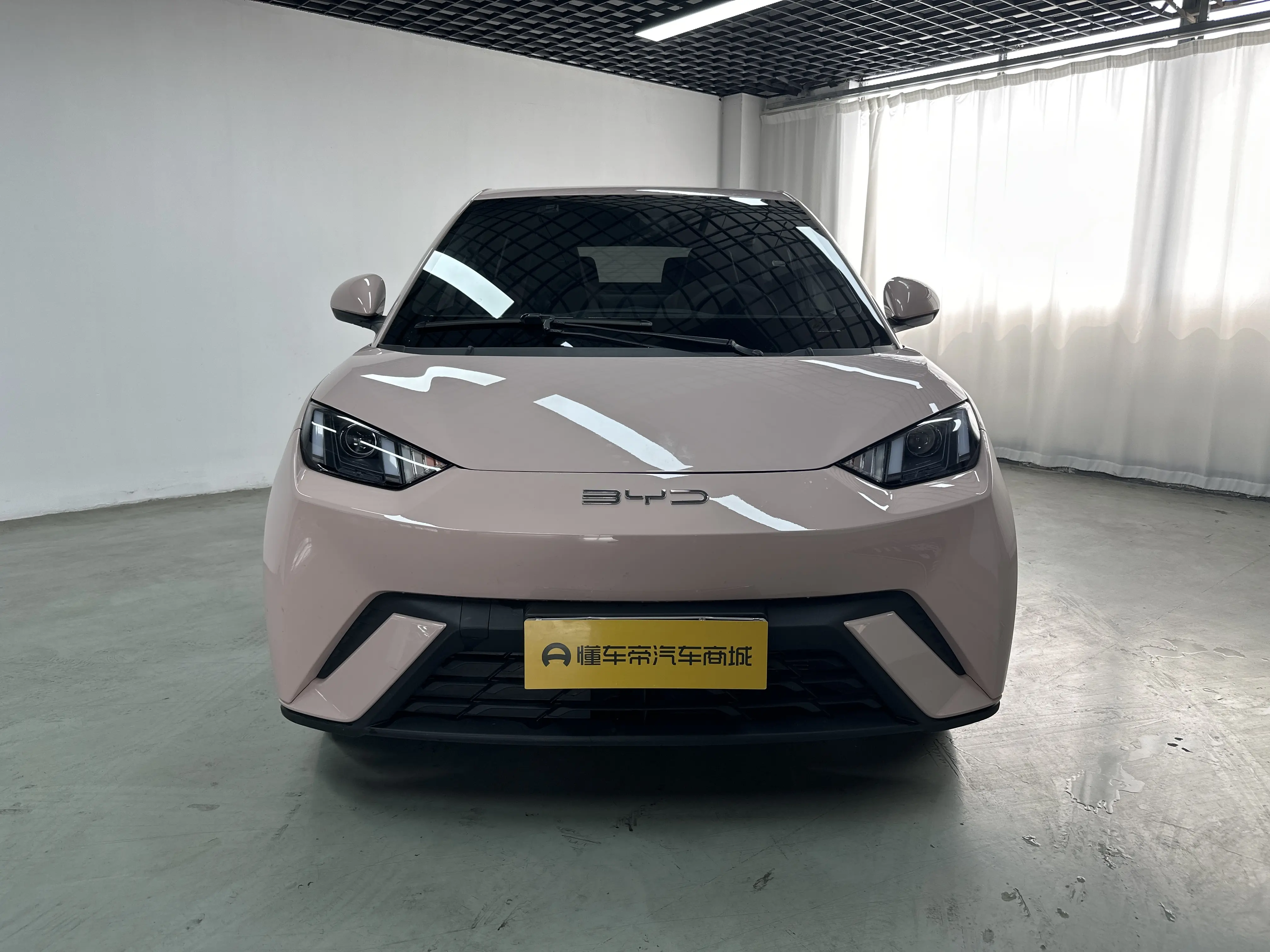 BYD Seagull