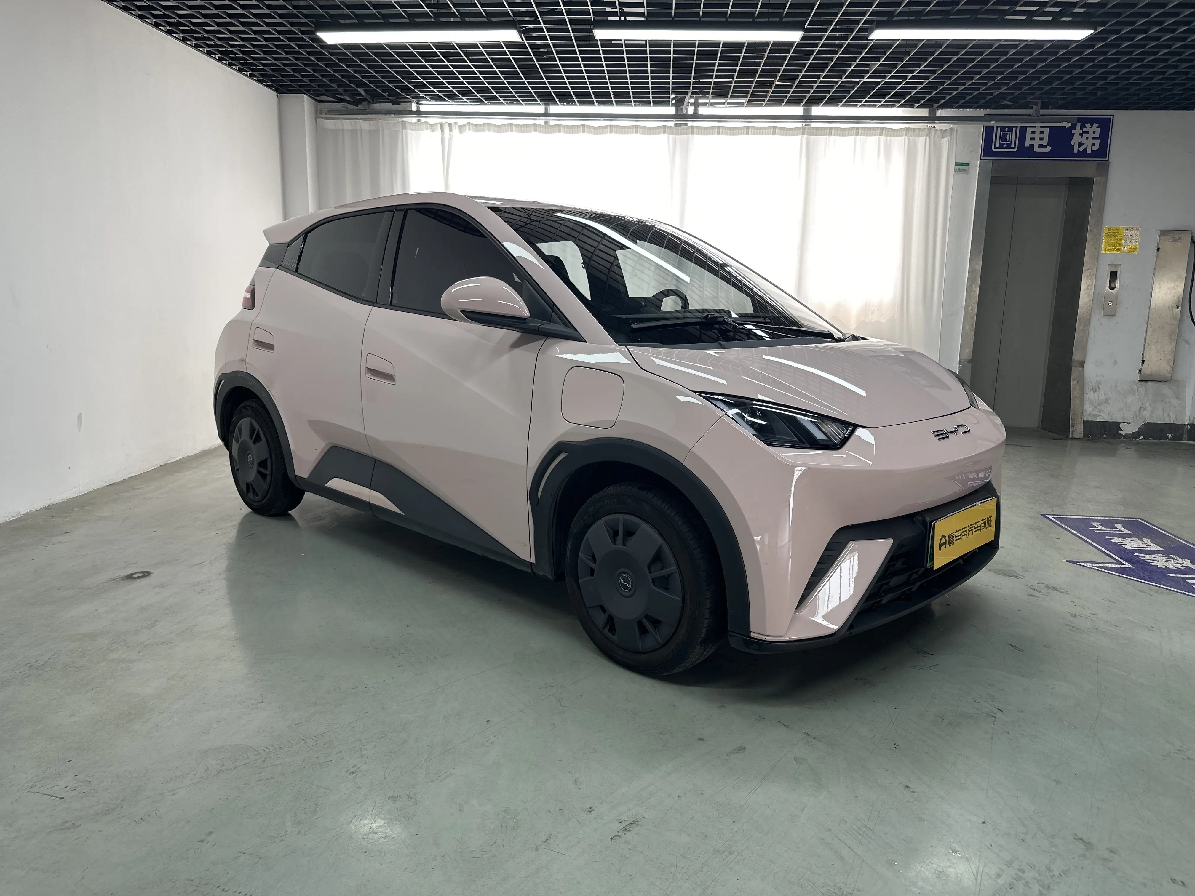 BYD Seagull