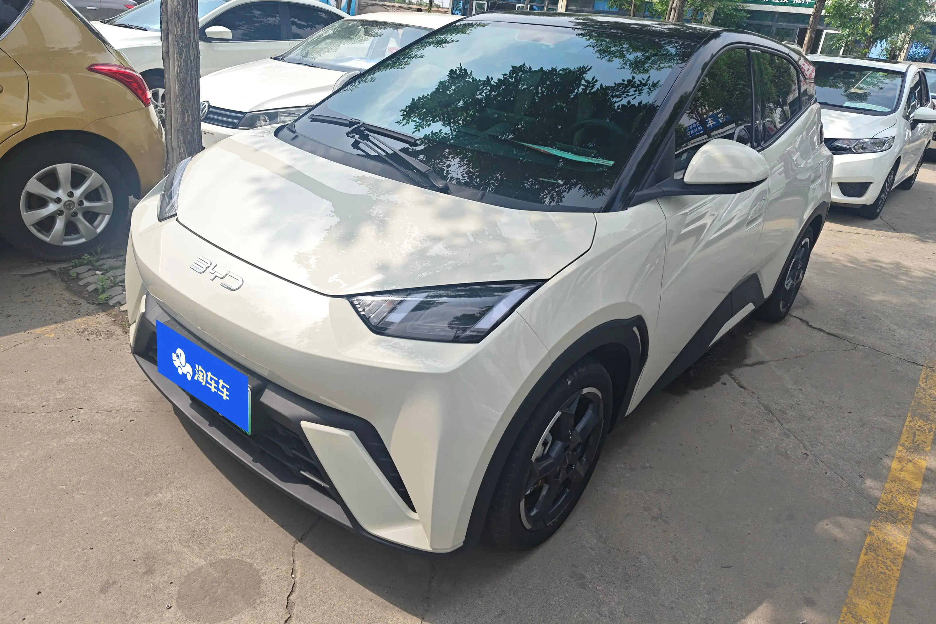 BYD Seagull