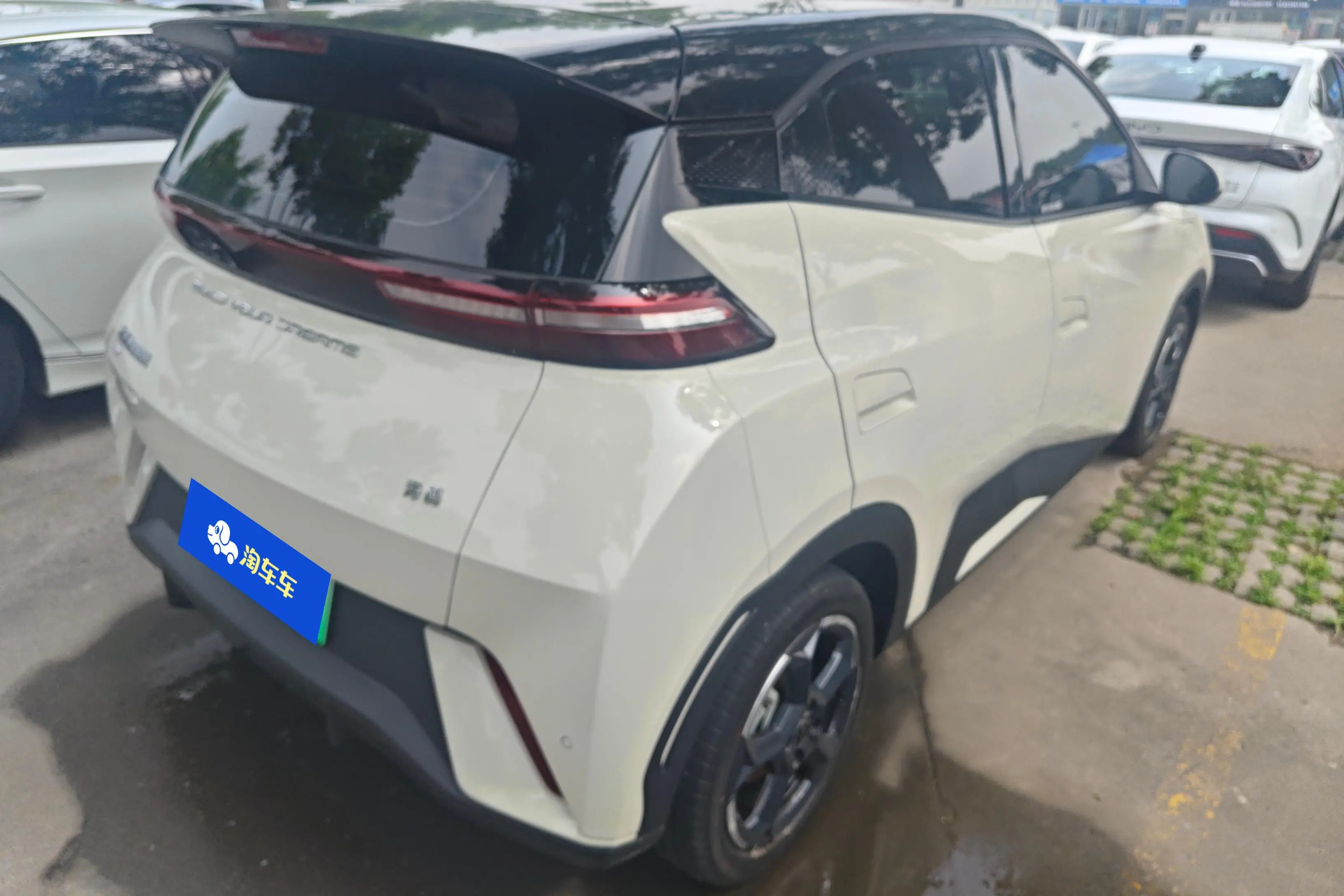 BYD Seagull