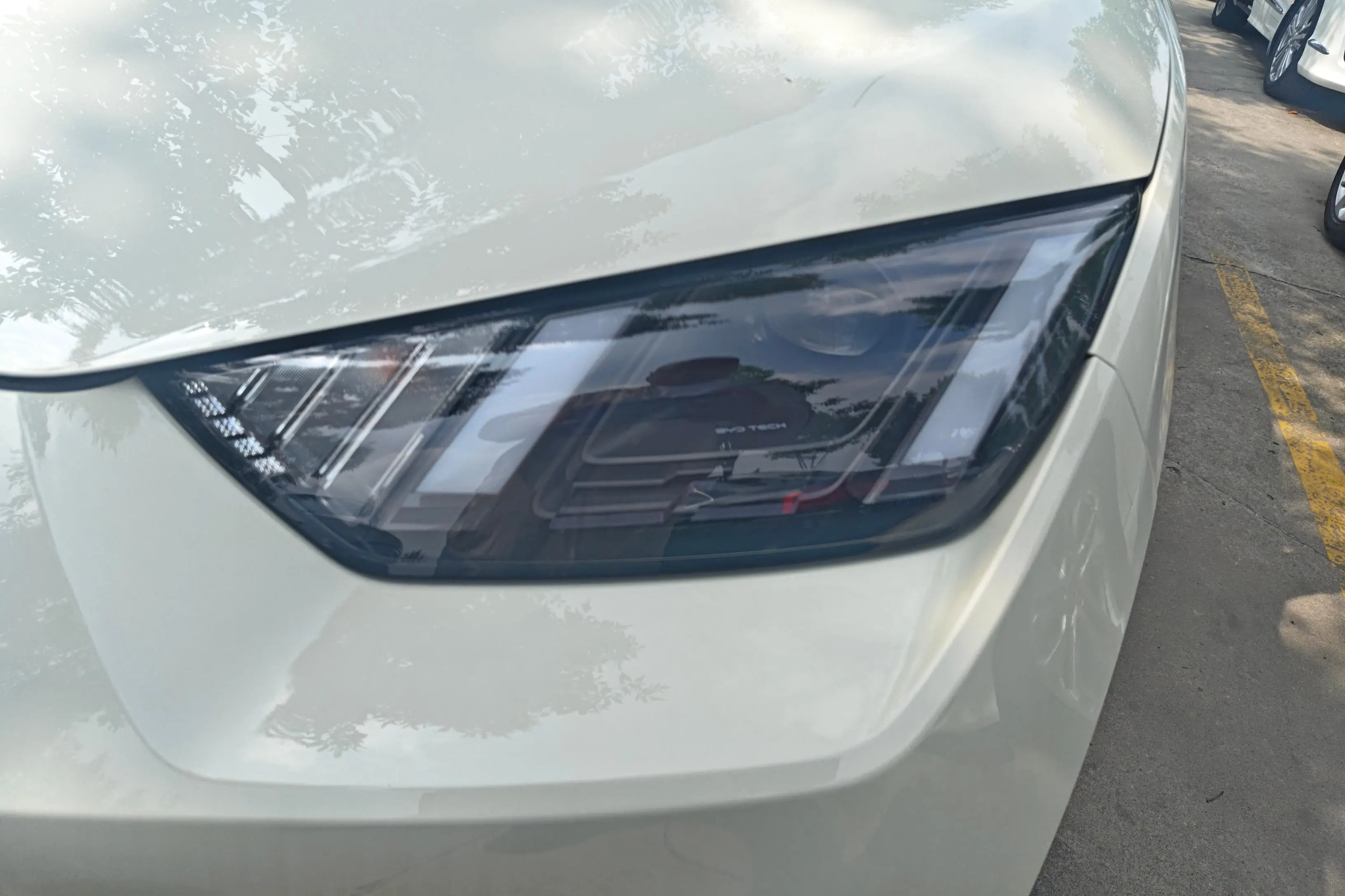 BYD Seagull