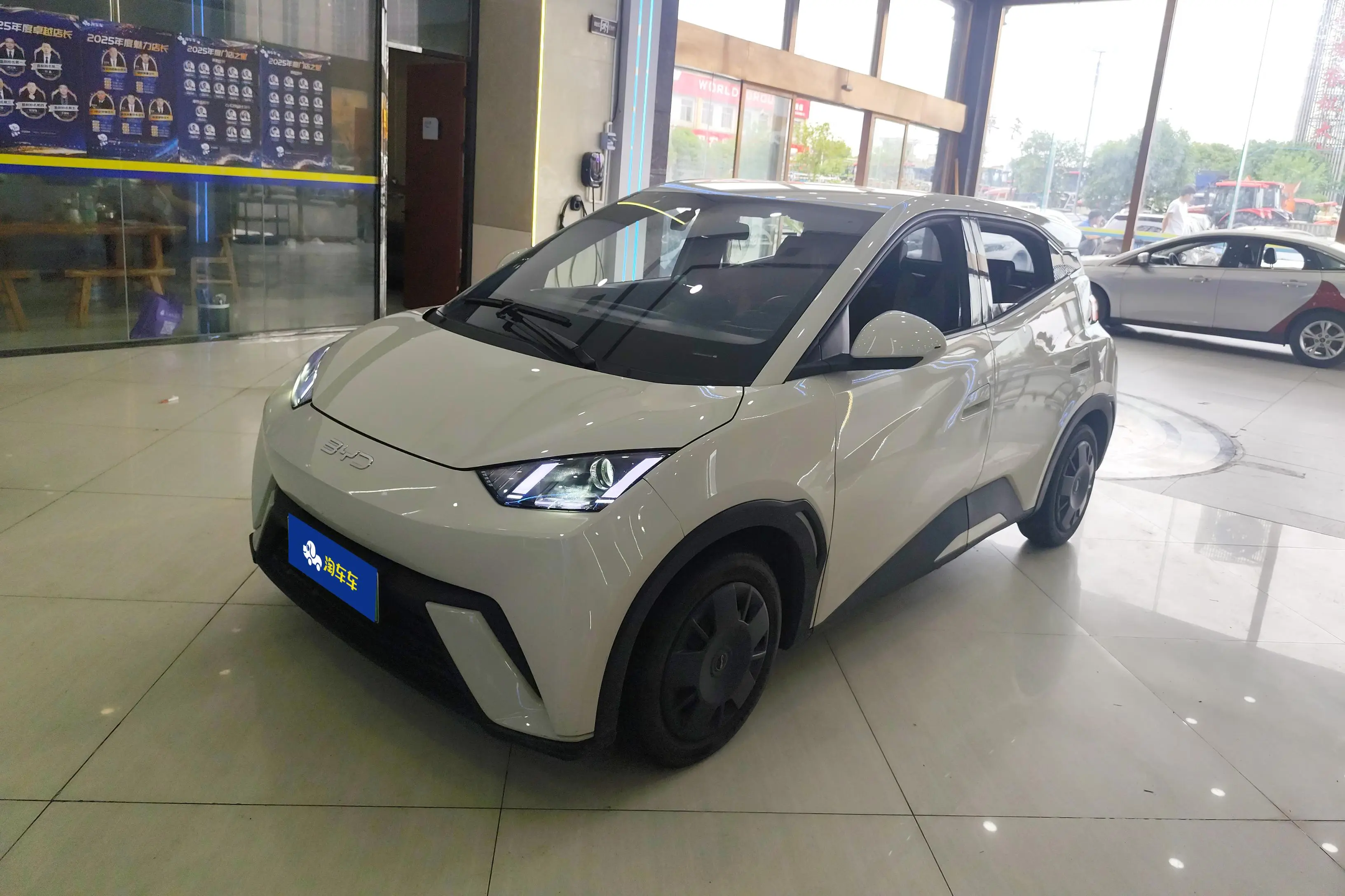 BYD Seagull