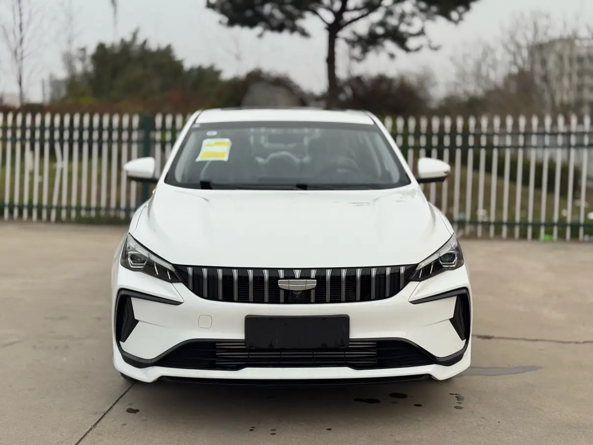 Geely Binrui