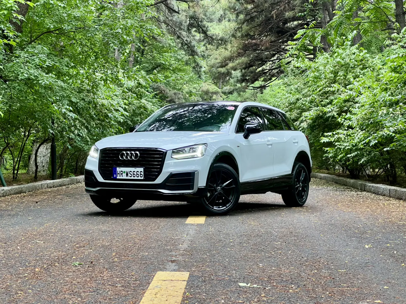Audi Q2L