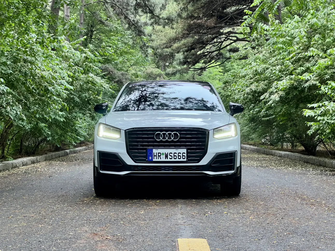 Audi Q2L