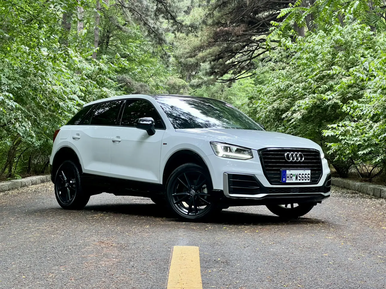 Audi Q2L