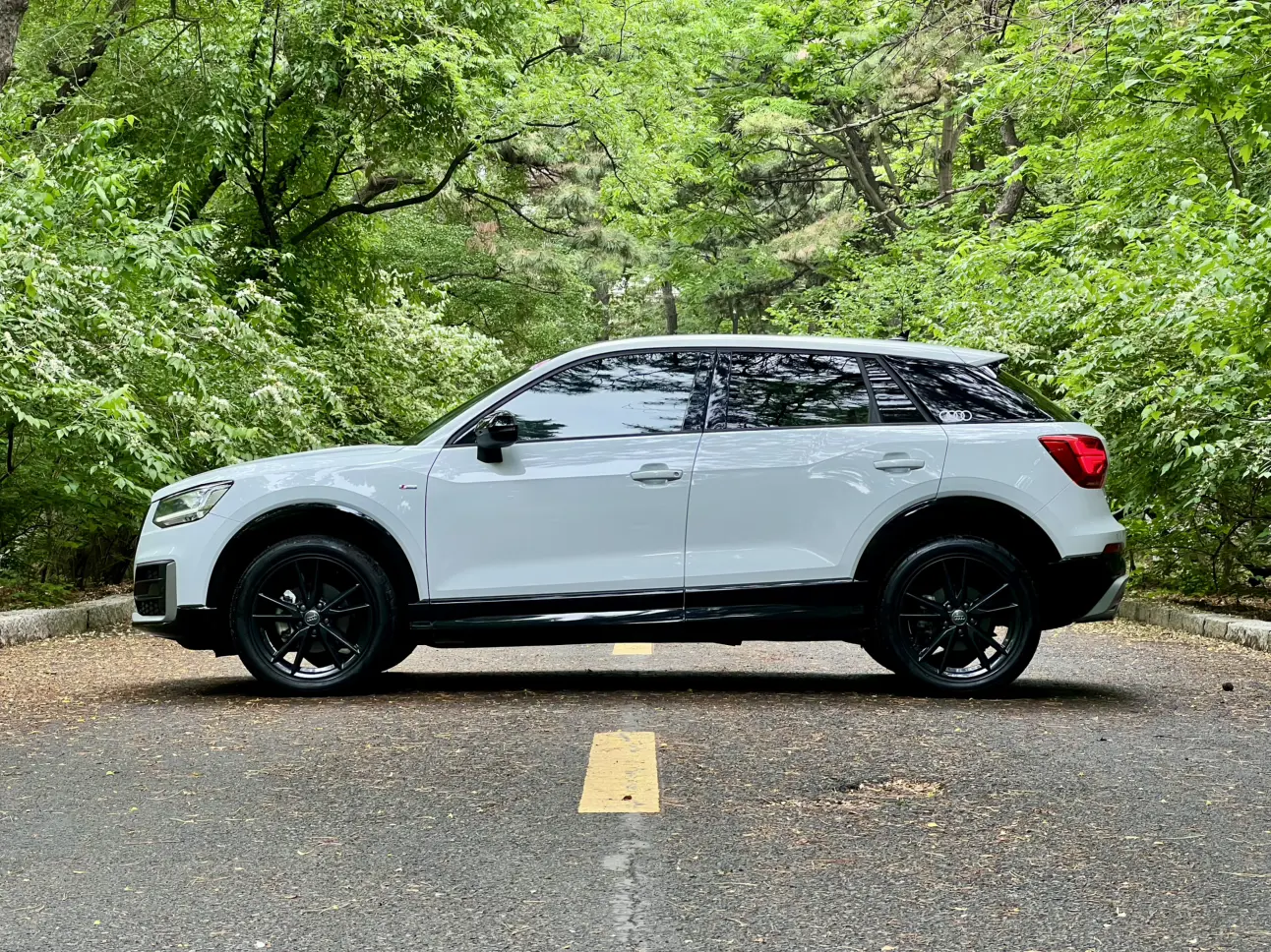 Audi Q2L