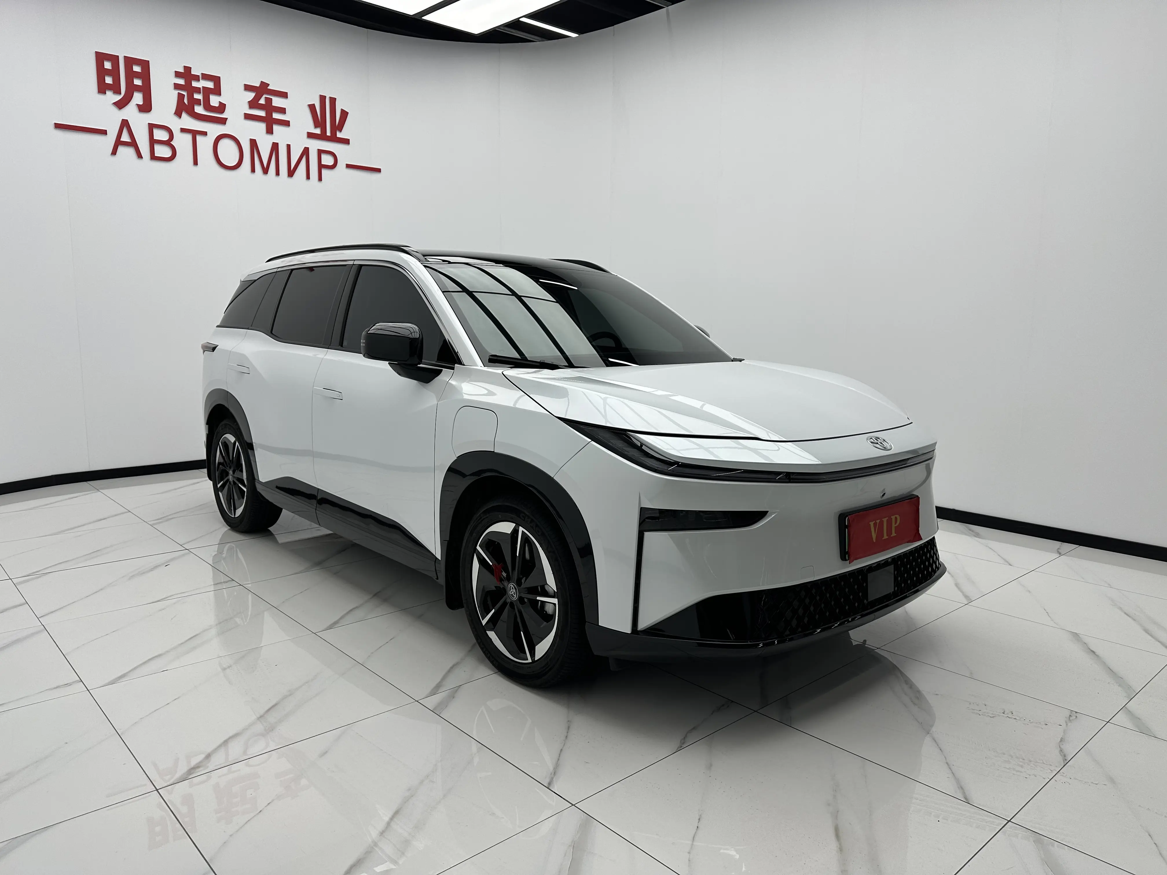 Toyota Bozhi 3X
