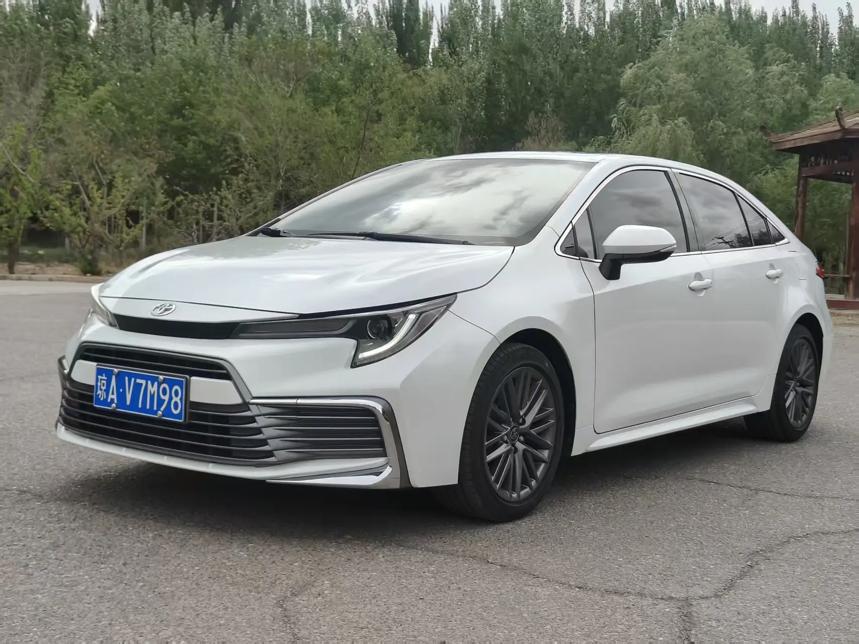 Toyota Levin
