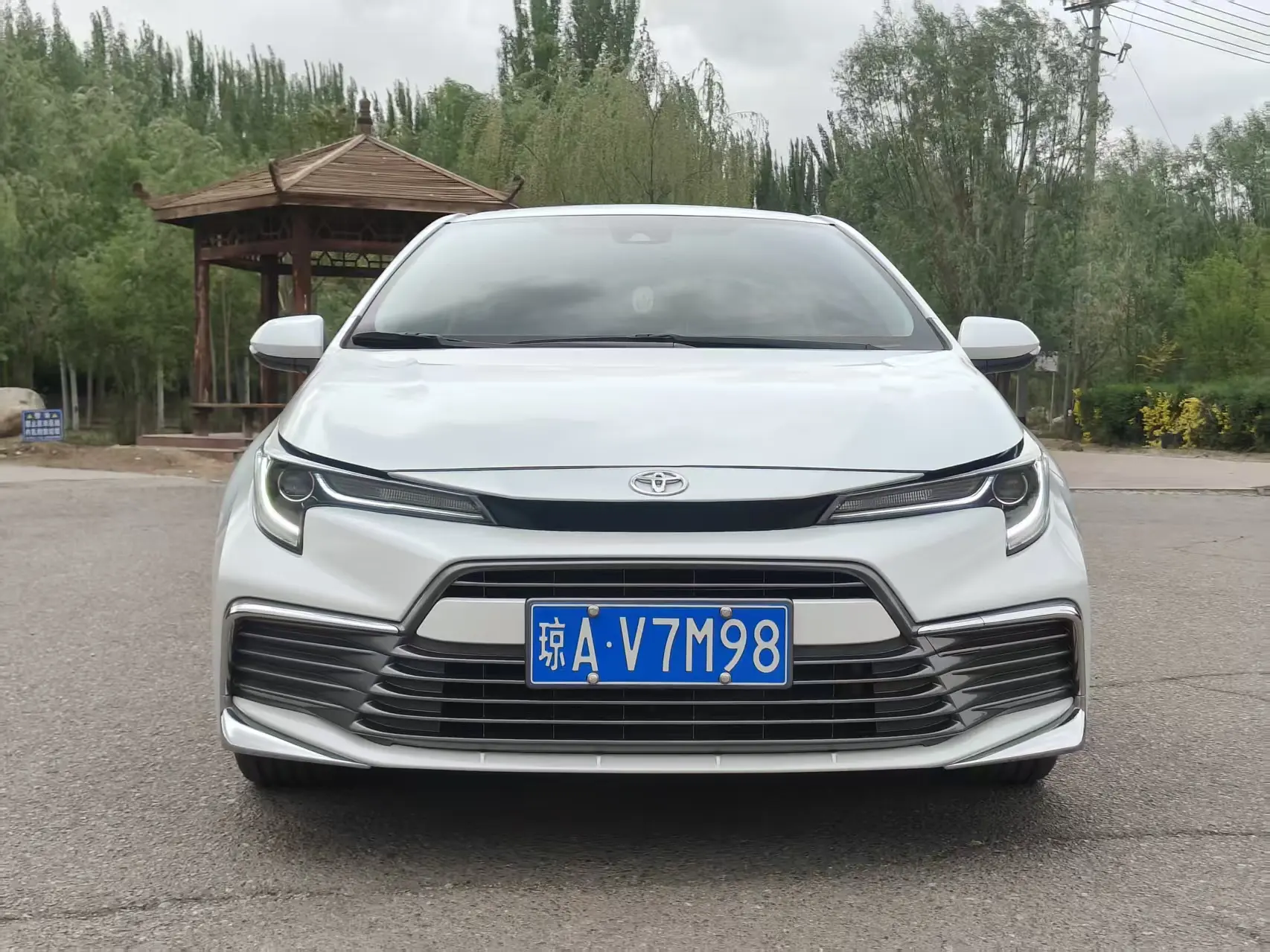 Toyota Levin