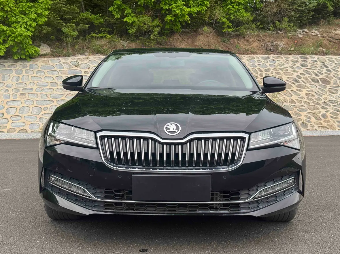 Skoda Speedy