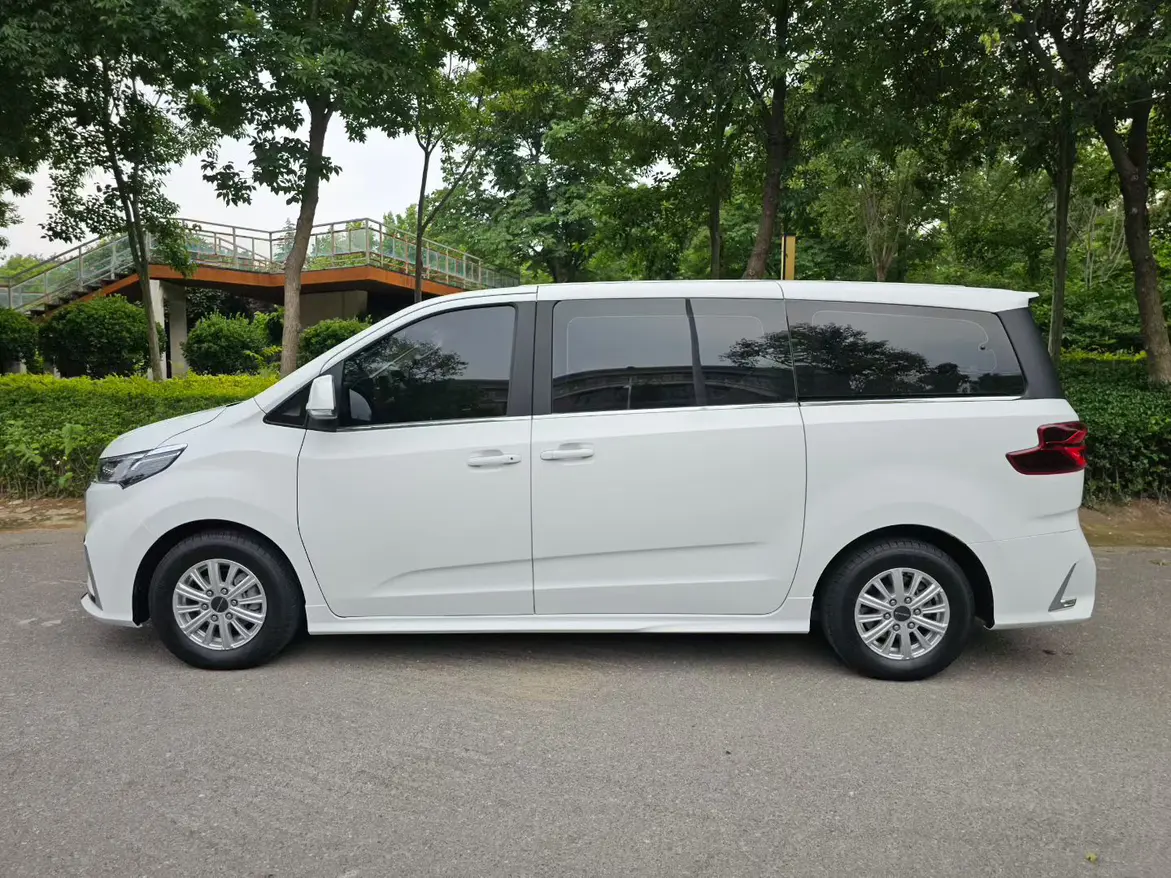 Datong Maxus G20