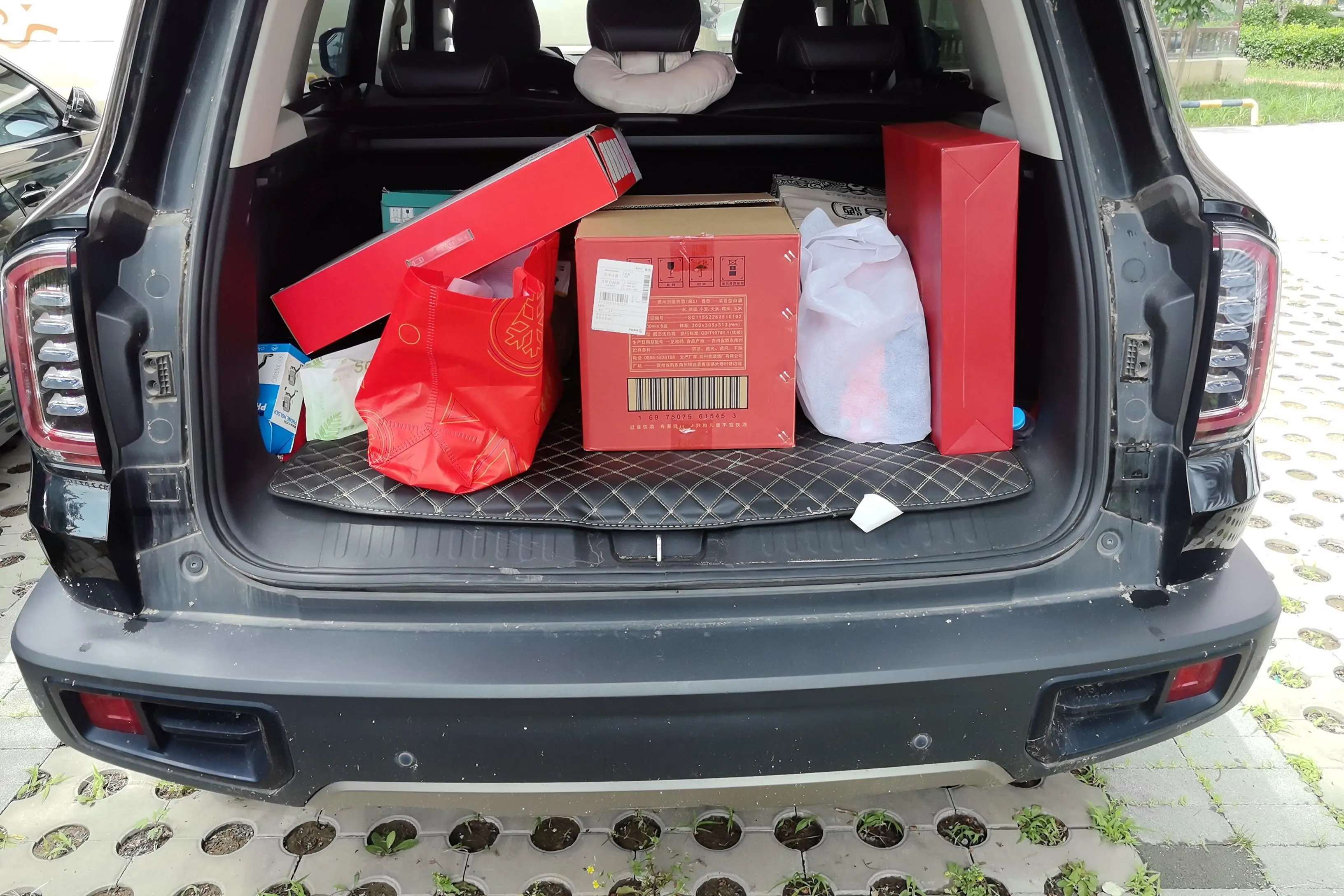 Haval Dargo